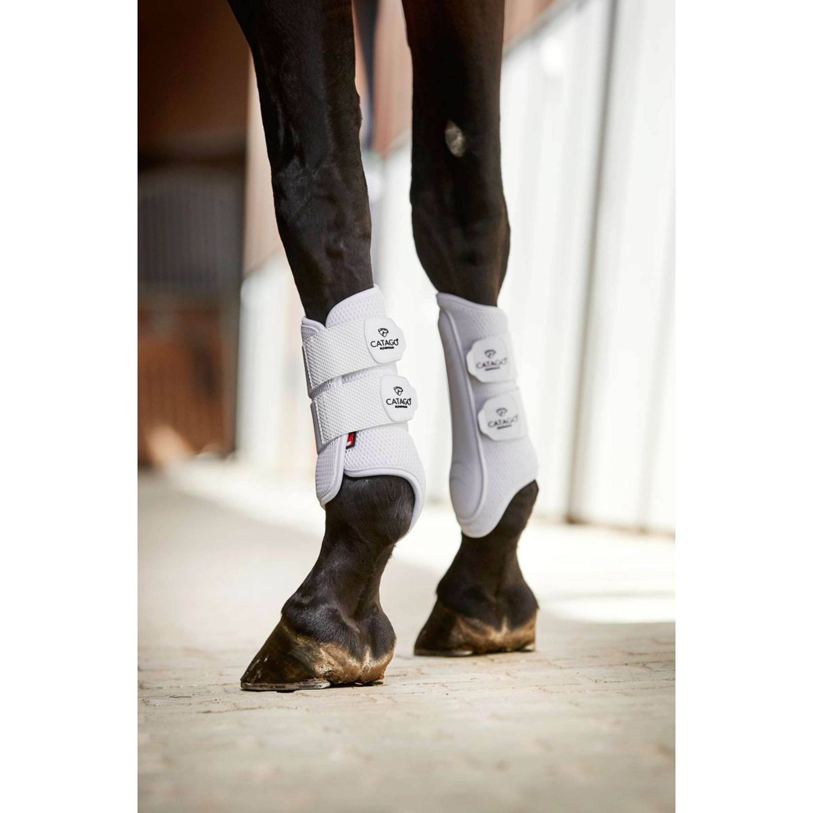 Catago Tendon Boots FIR-Tech White