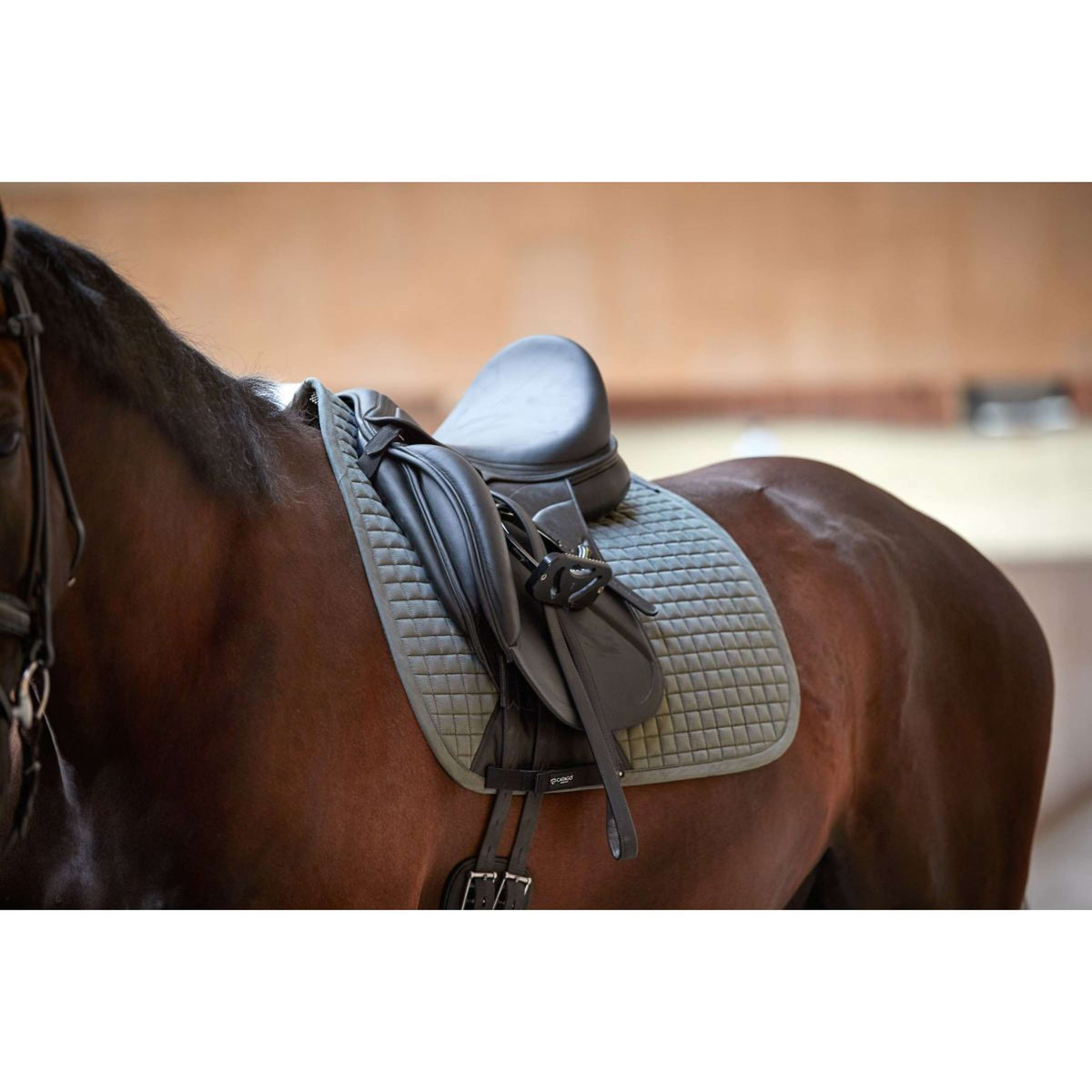 Catago Saddlepad FIR-Tech Performance Dressage Forest