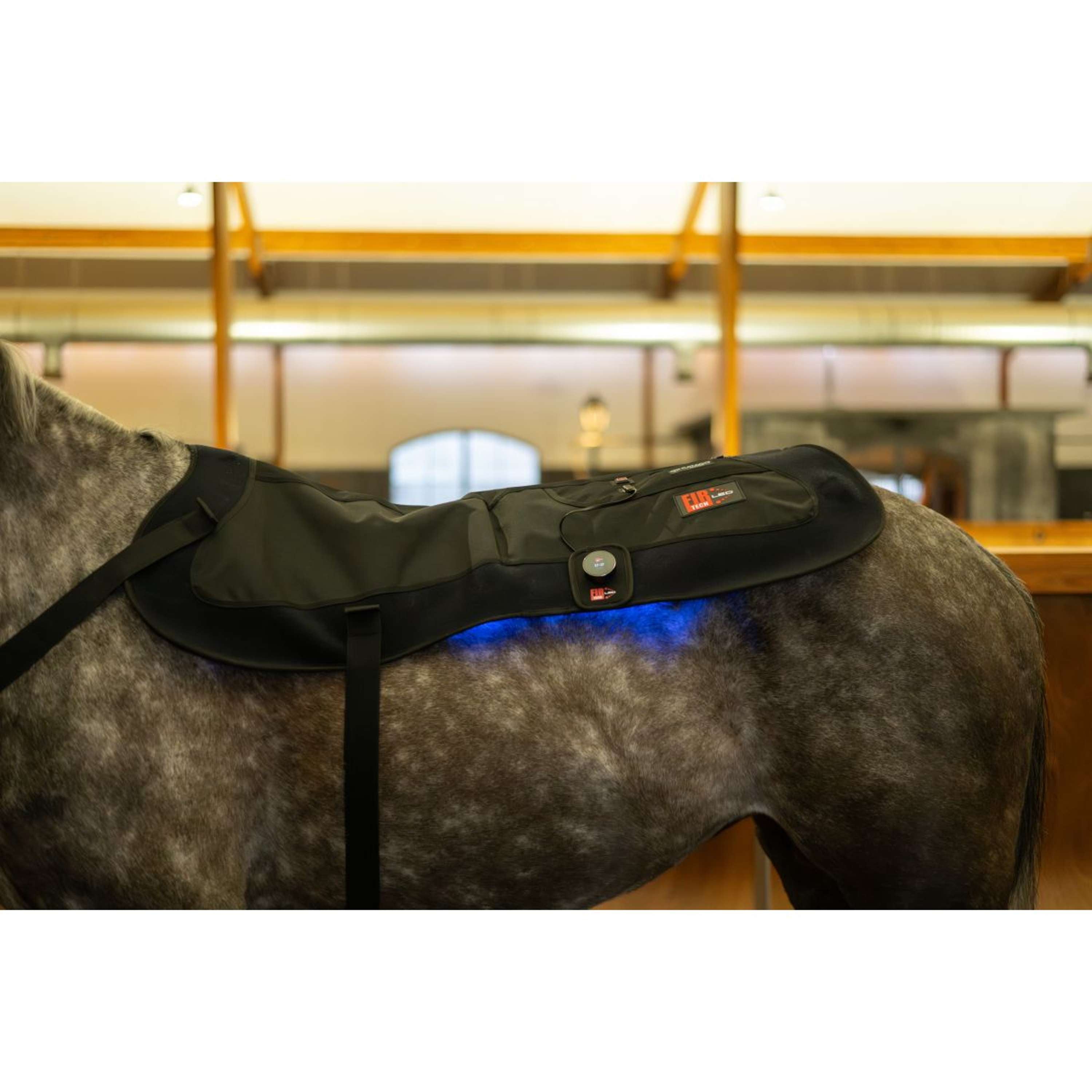 Catago LED Therapy Pad Fir-Tech X84