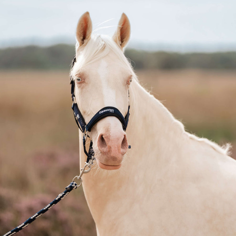 EQPRO Head Collar Set Precious Navy Blue
