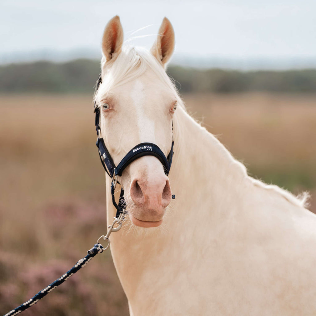 EQPRO Head Collar Set Precious Navy Blue