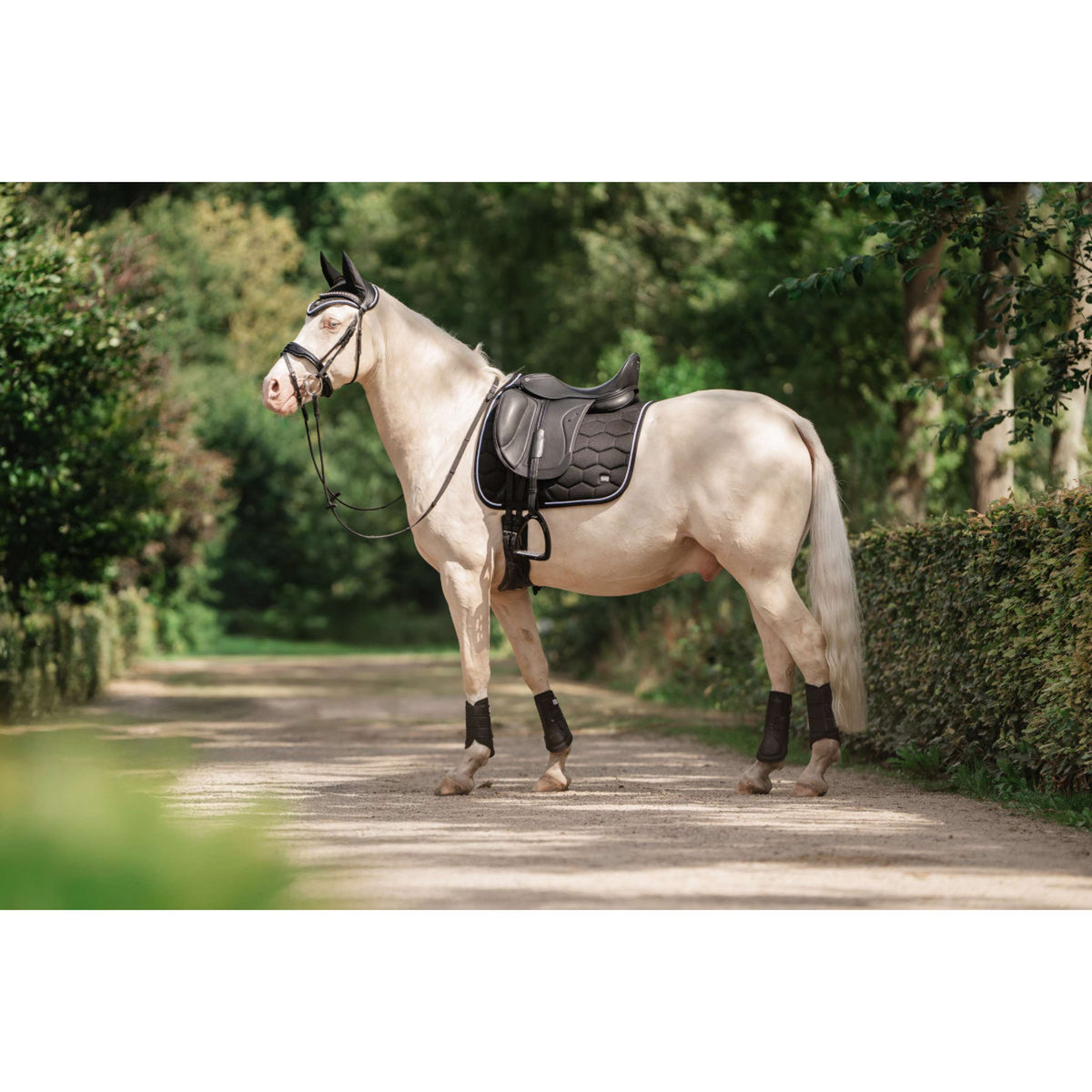 EQPRO Saddlepad Precious Dressage Black