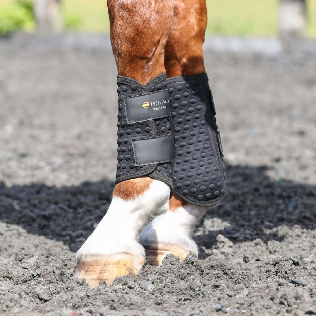 Equilibrium Leg Protectors Stretch & Flex Flatwork Black