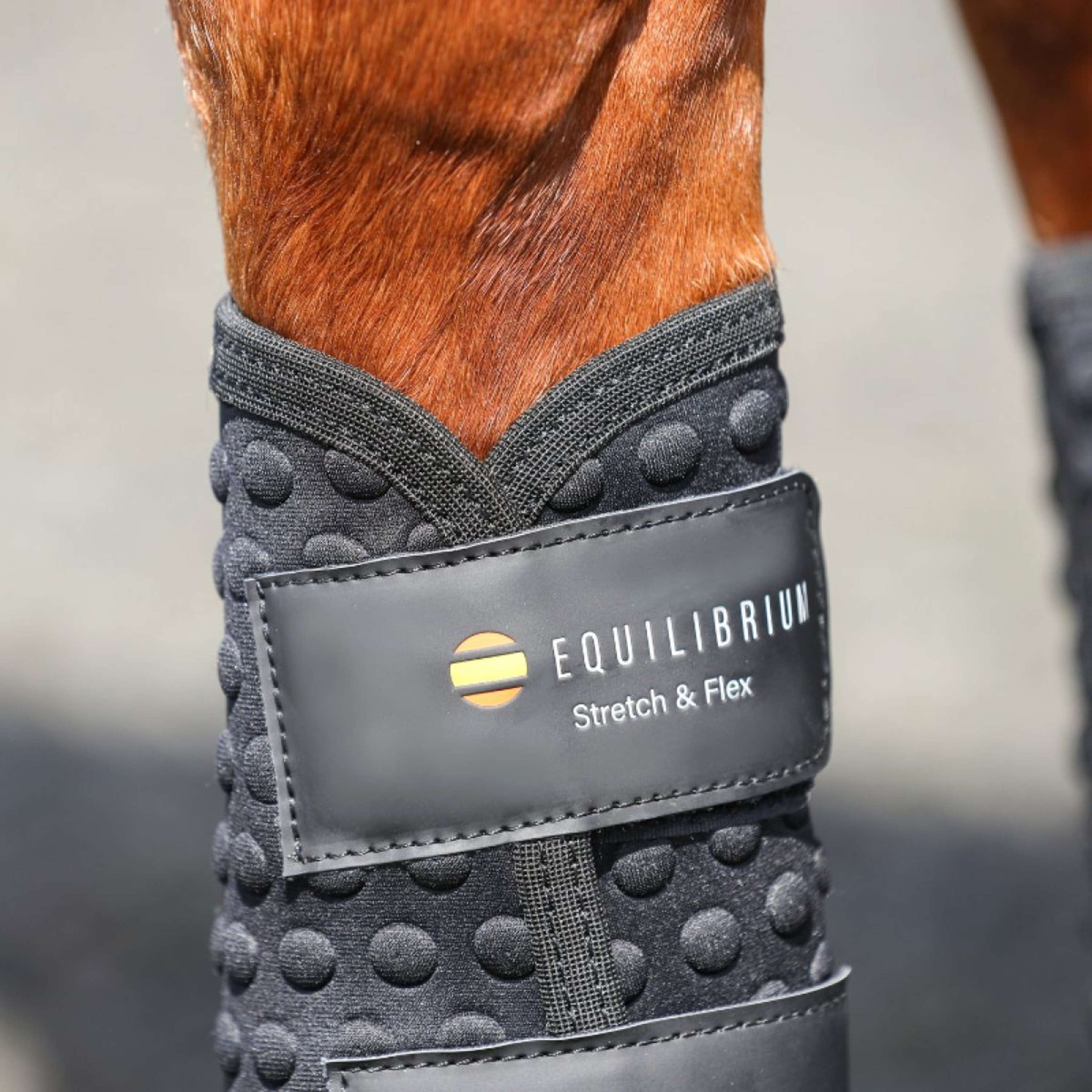 Equilibrium Leg Protectors Stretch & Flex Flatwork Black Equilibrium Leg Protectors Stretch & Flex Flatwork Black