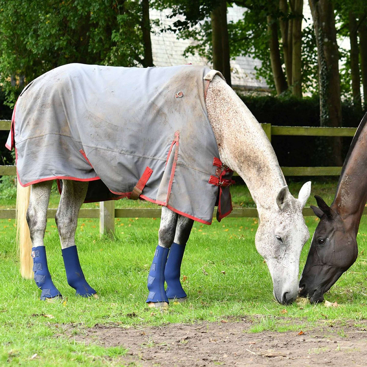 Equilibrium Leg Protectors Equi-Chaps Hardy Navy