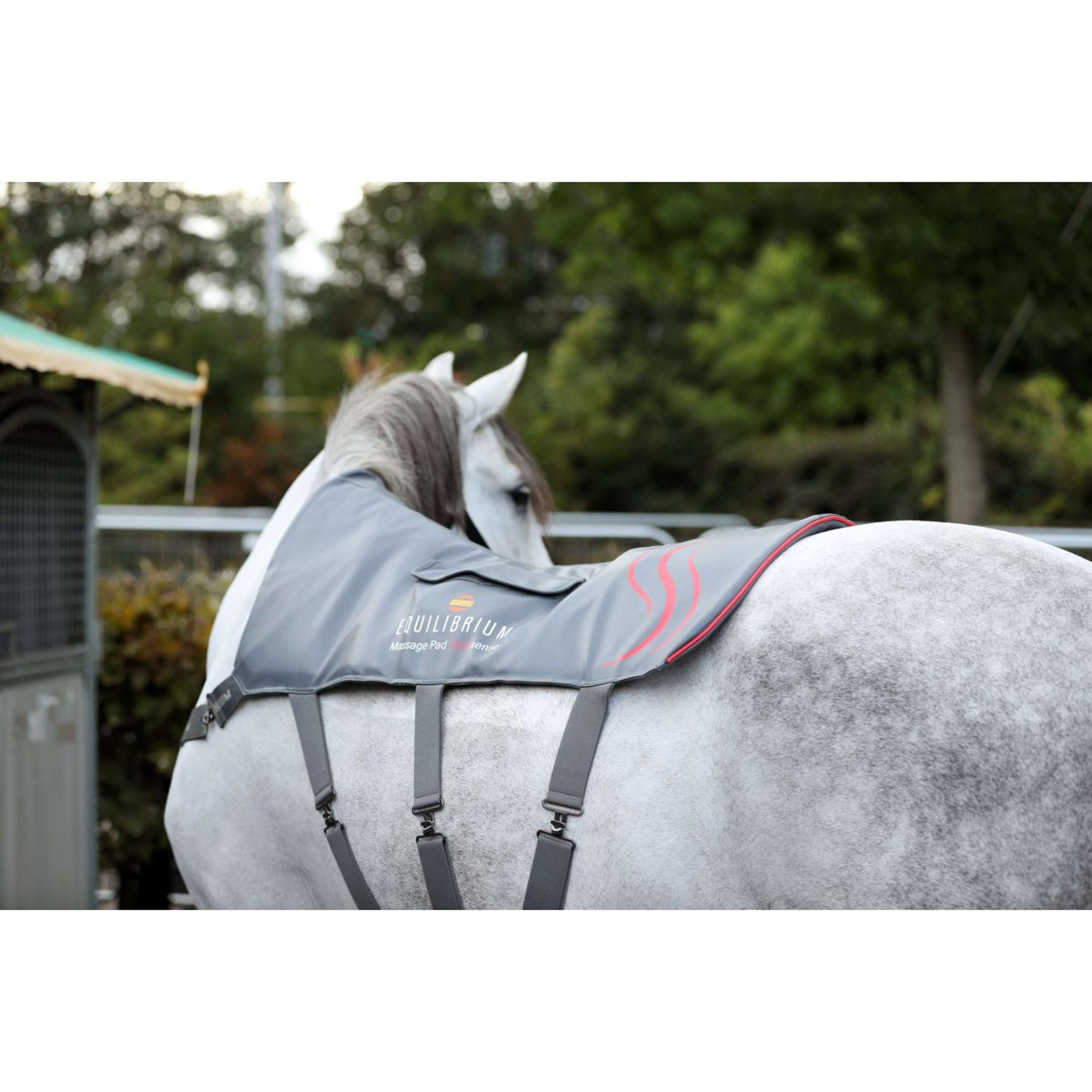 Equilibrium Massage Pad Heatsense Grey Equilibrium Massage Pad Heatsense Grey