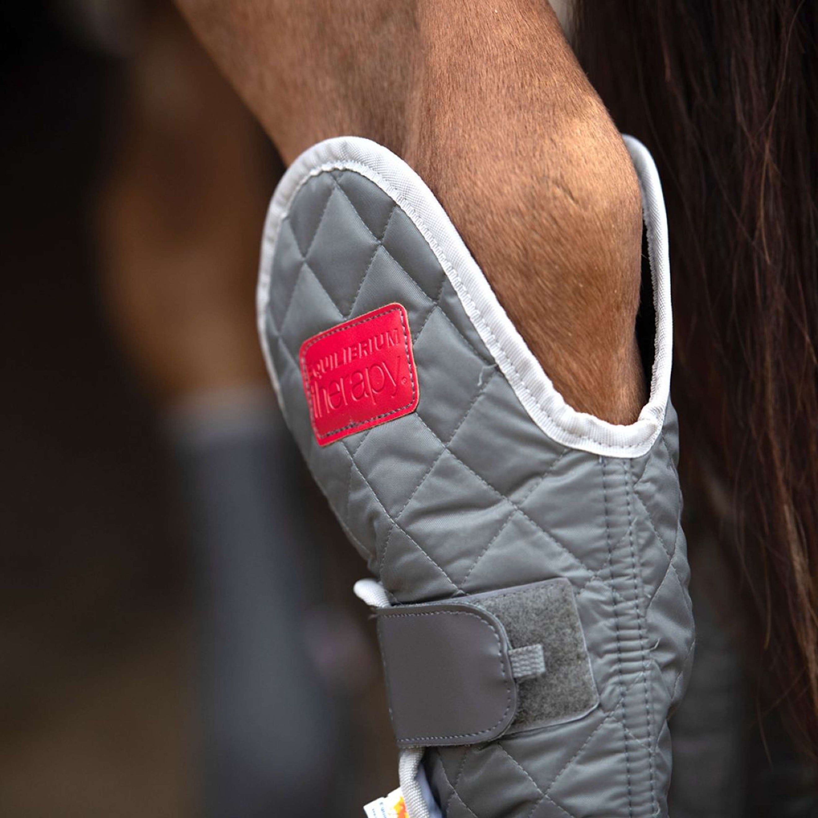 Equilibrium Leg Protectors Hind & Hock Magnetic Grey