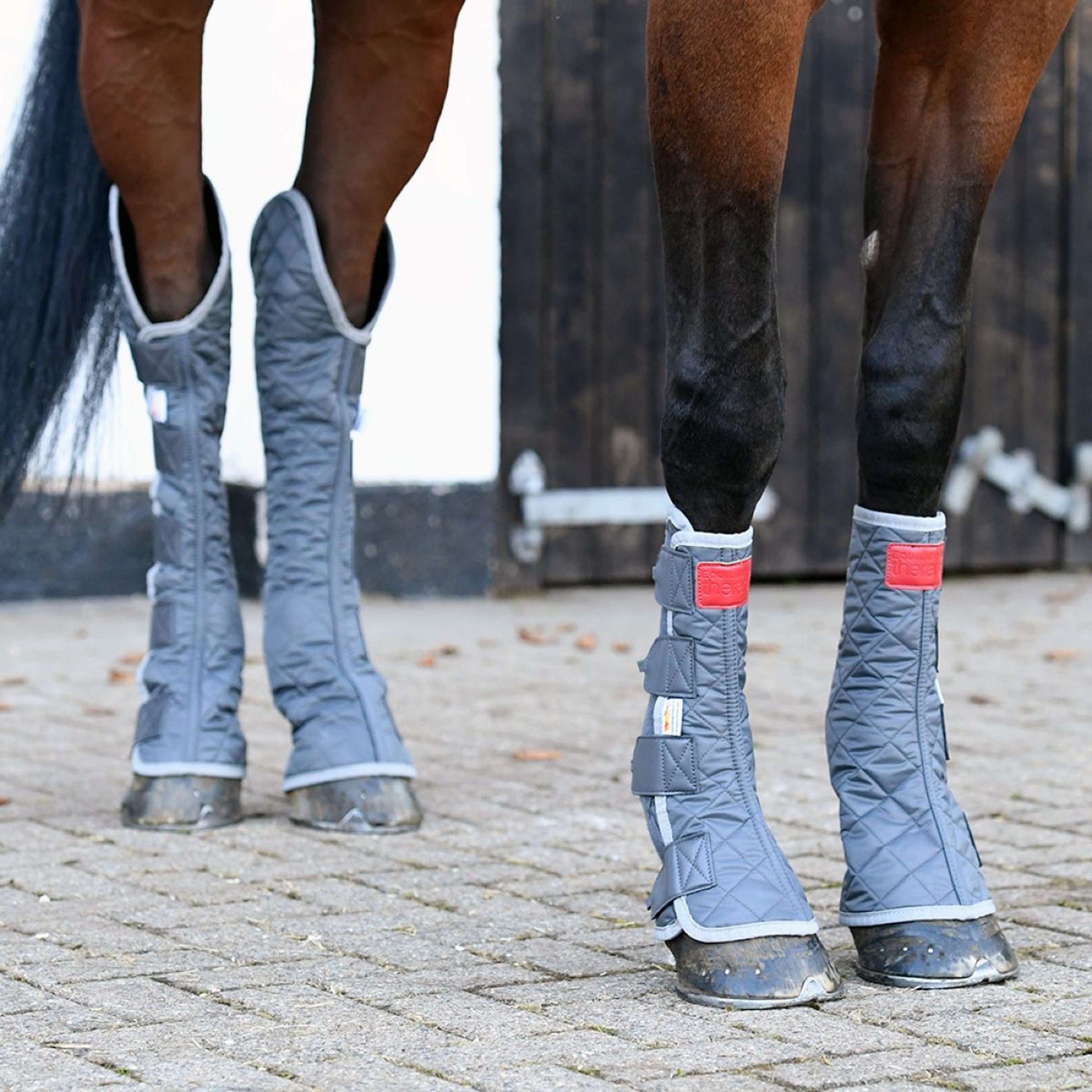 Equilibrium Leg Protectors Hind & Hock Magnetic Grey Equilibrium Leg Protectors Hind & Hock Magnetic Grey
