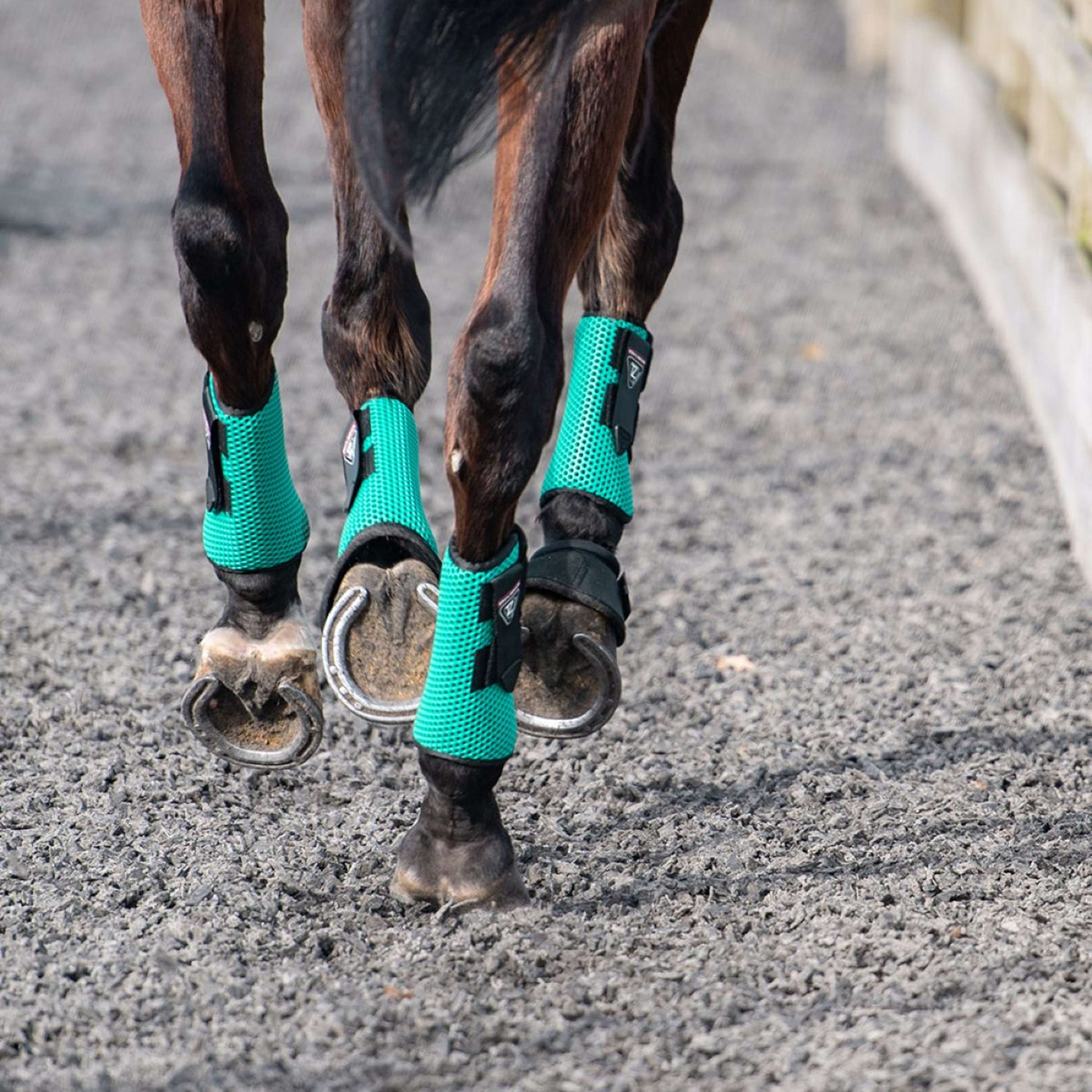 Equilibrium Leg Protectors Tri-Zone All Sports Teal