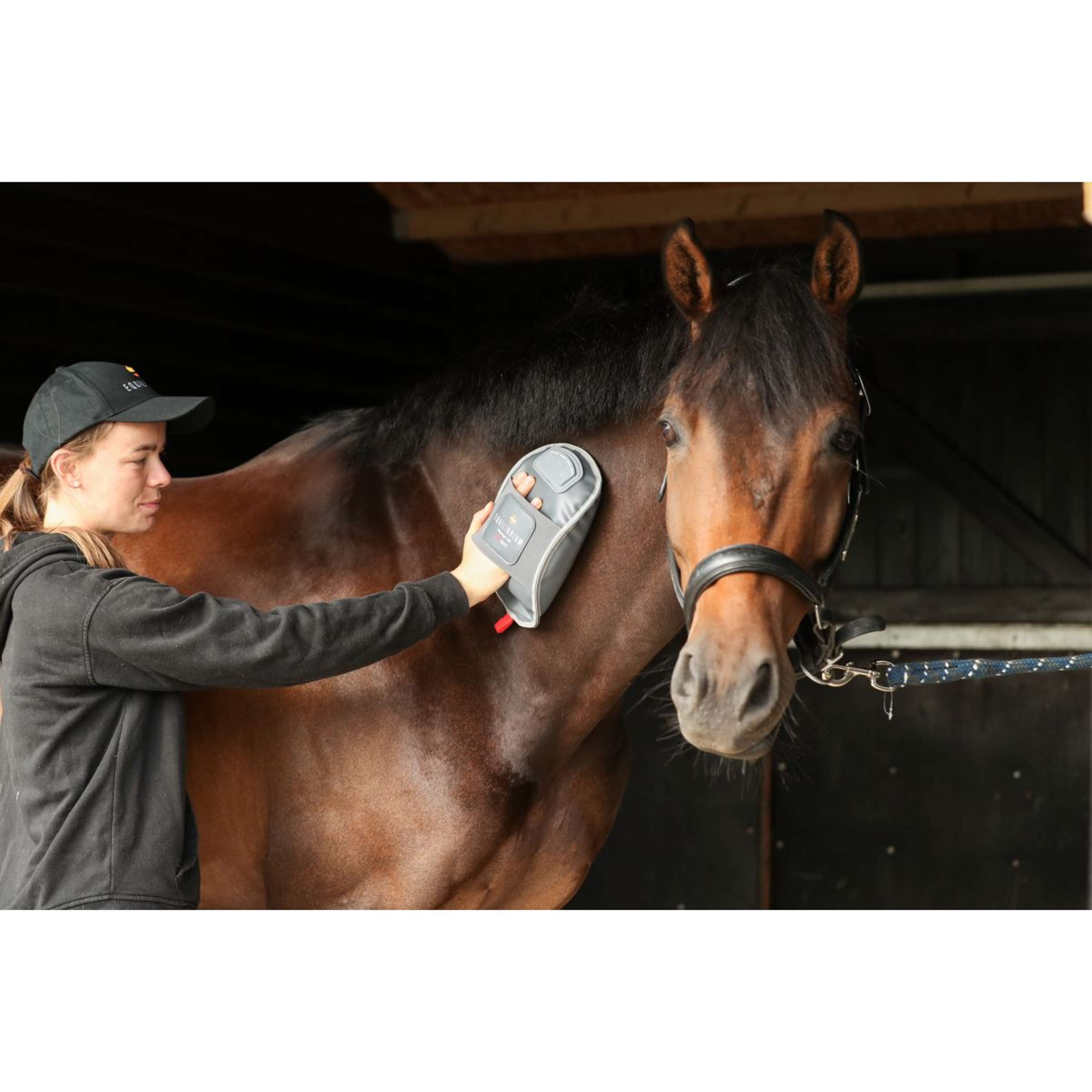 Equilibrium Massage glove Hotspot Grey