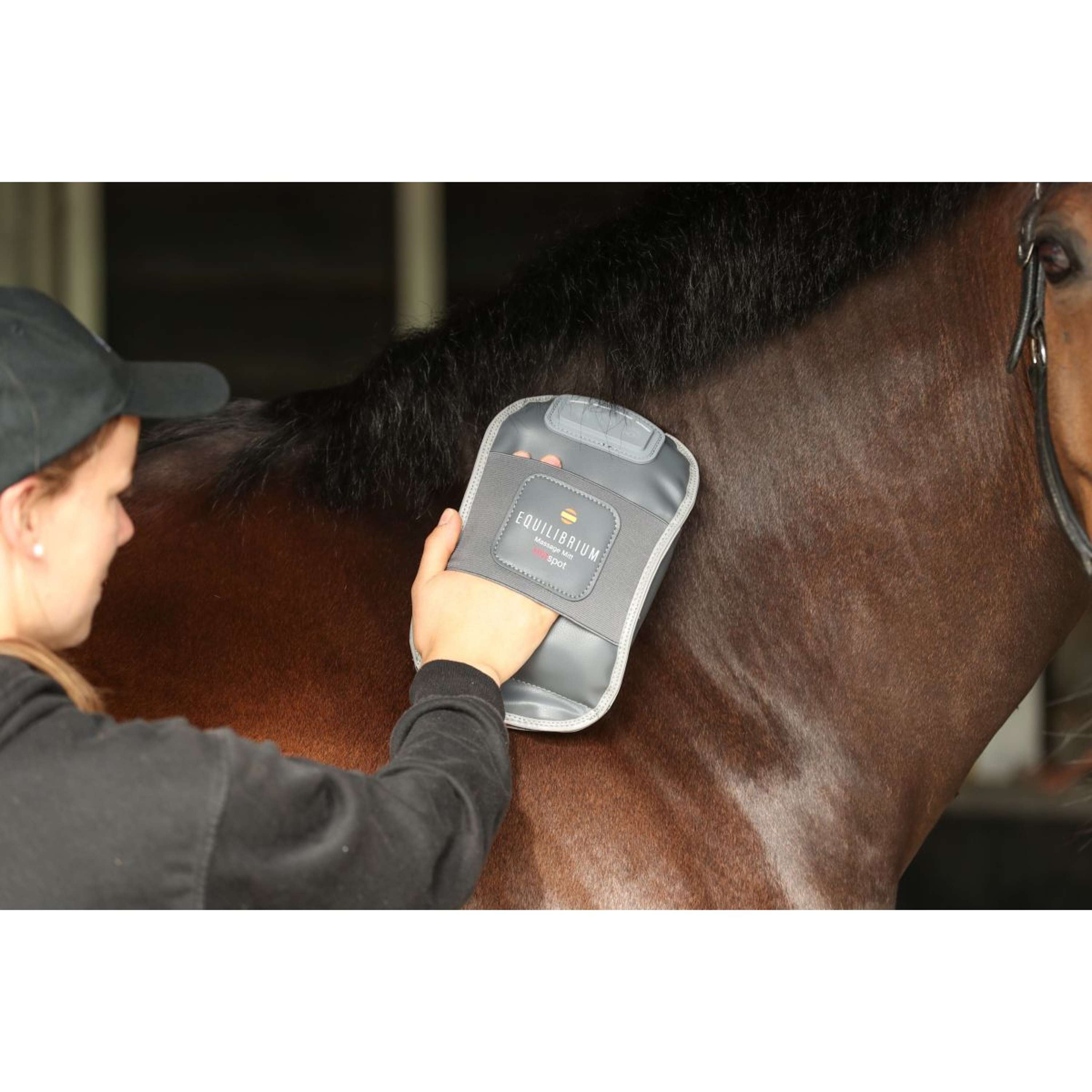 Equilibrium Massage glove Hotspot Grey
