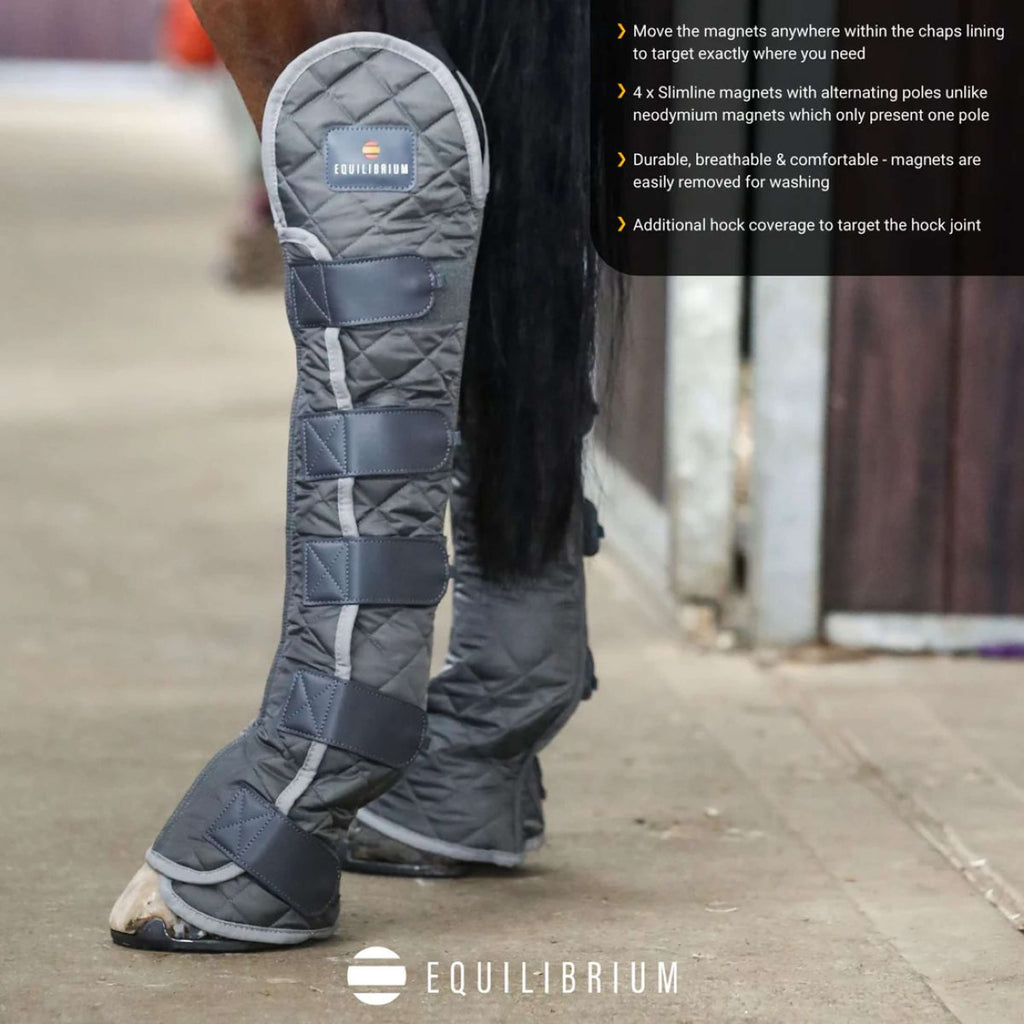 Equilibrium Leg Protectors Hind & Hock Magnetic Grey