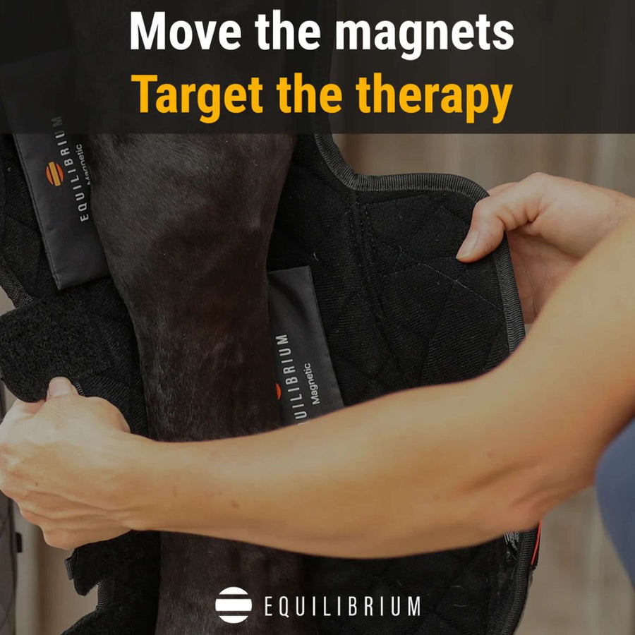 Equilibrium Leg Protectors Hind & Hock Magnetic Grey
