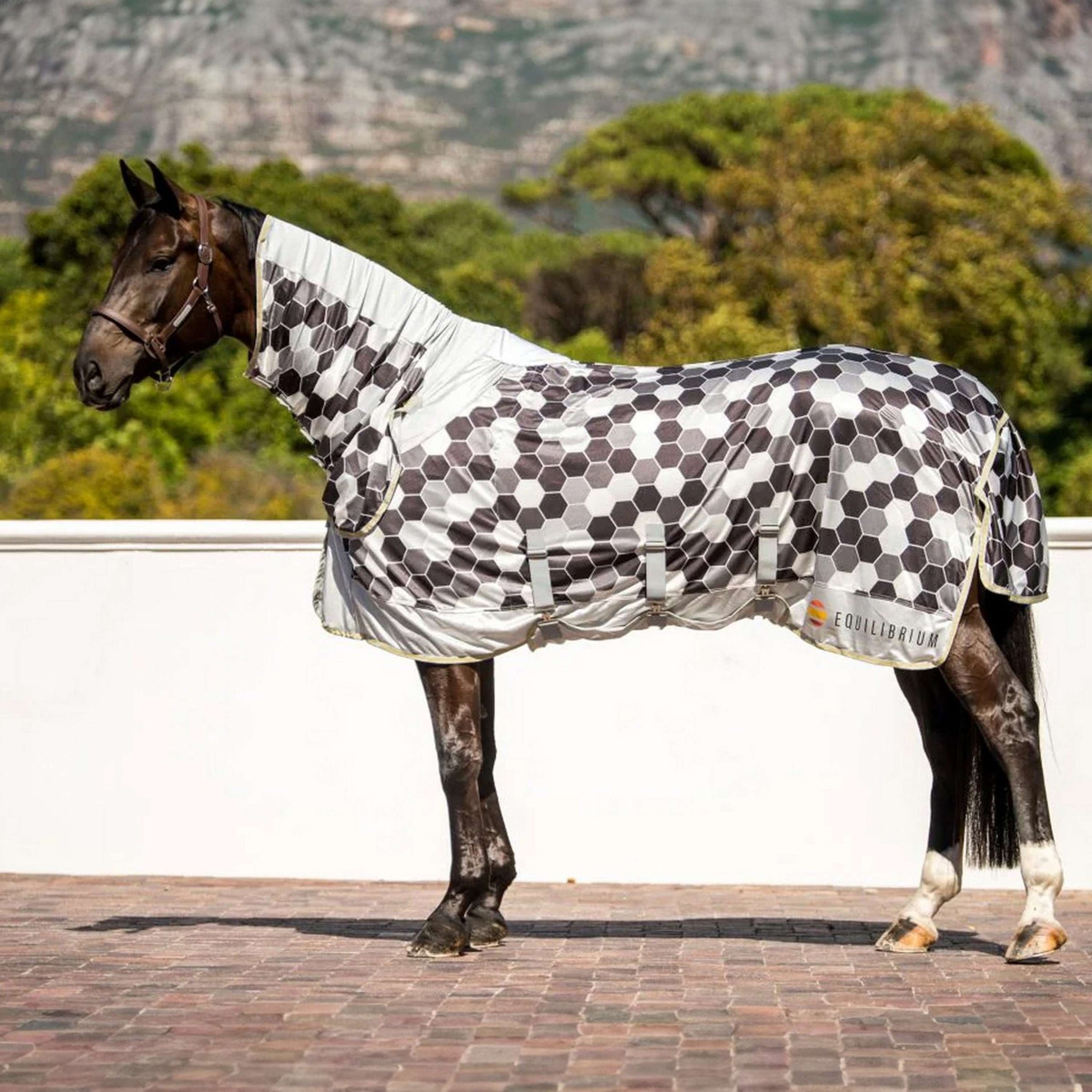 Equilibrium Fly Rug Field Relief Grey