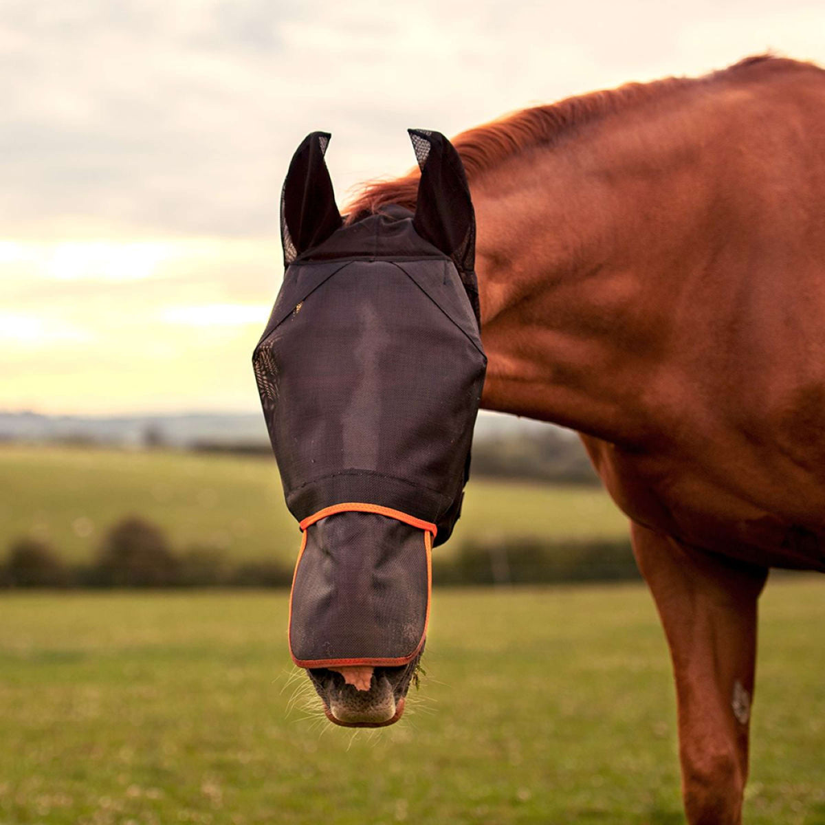 Equilibrium Fly Mask Field Relief Max With Nose Protection Black/Orange