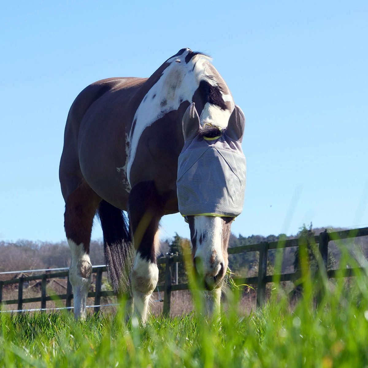 Equilibrium Fly Mask Field Relief Midi with Ears Grey/Yellow