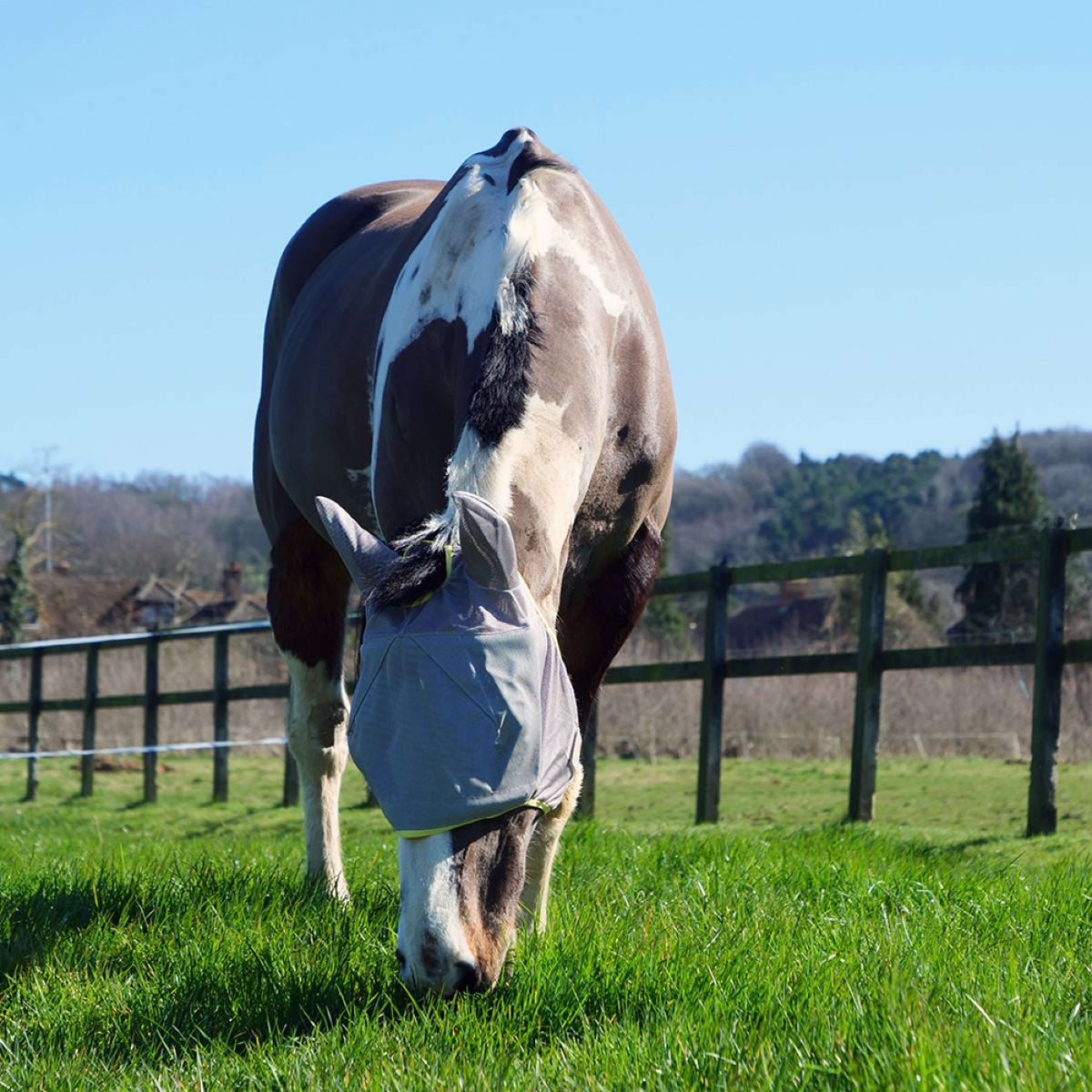 Equilibrium Fly Mask Field Relief Midi with Ears Grey/Yellow