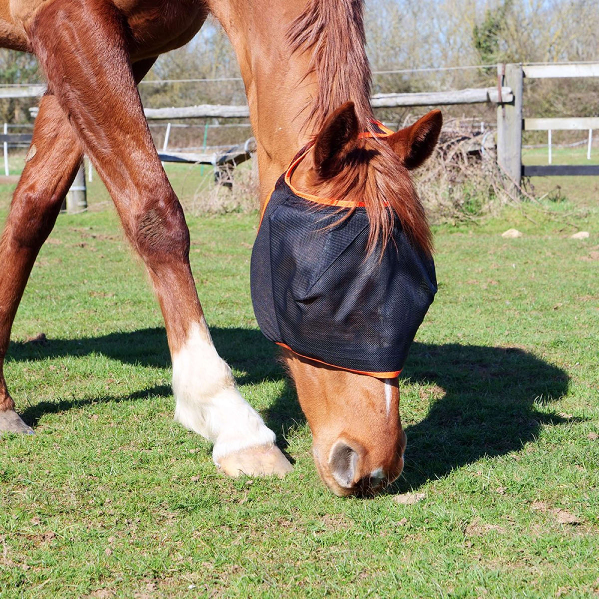 Equilibrium Fly Mask Field Relief Midi without Ears Black/Orange