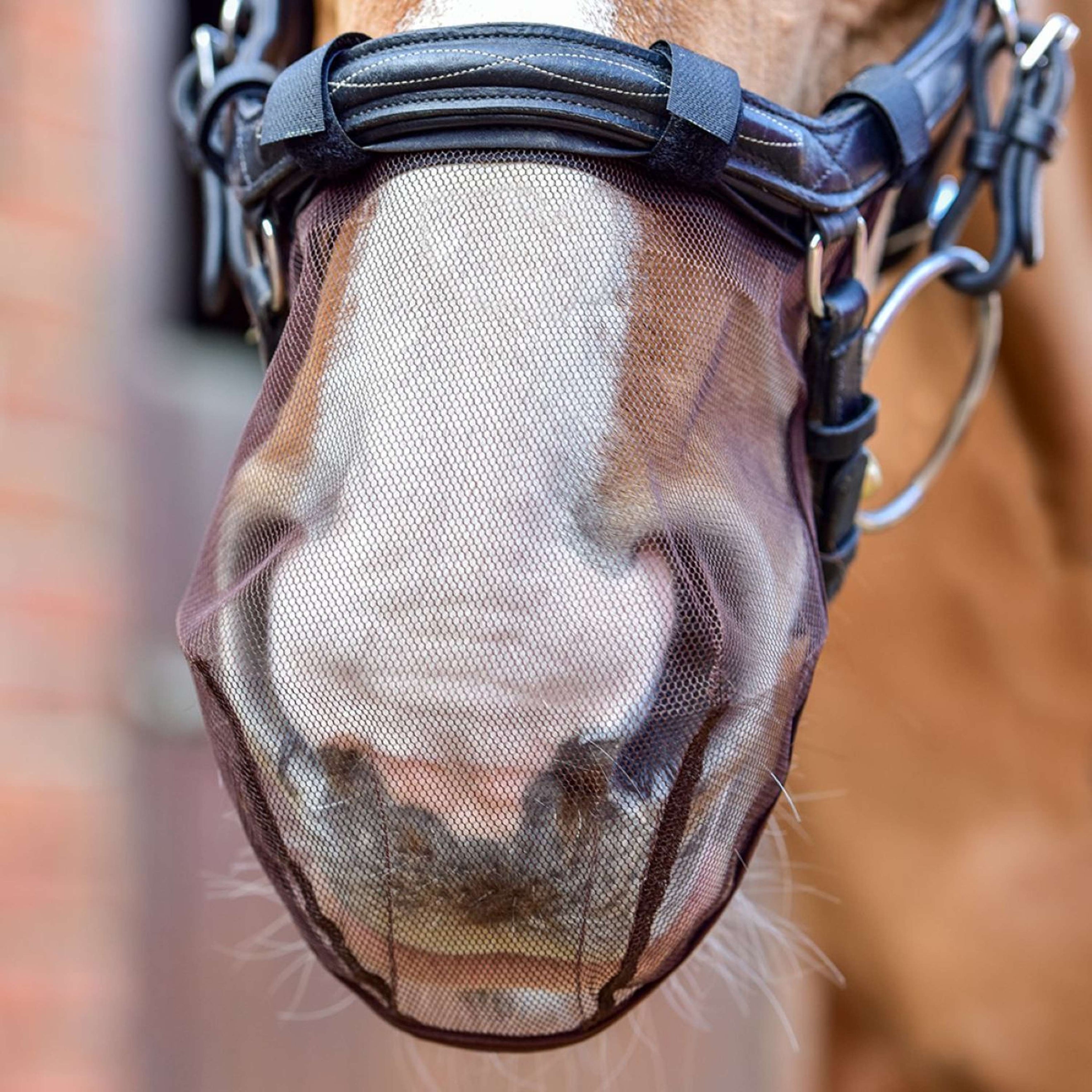 Equilibrium Nose Net Net Relief For Micklem Bridle