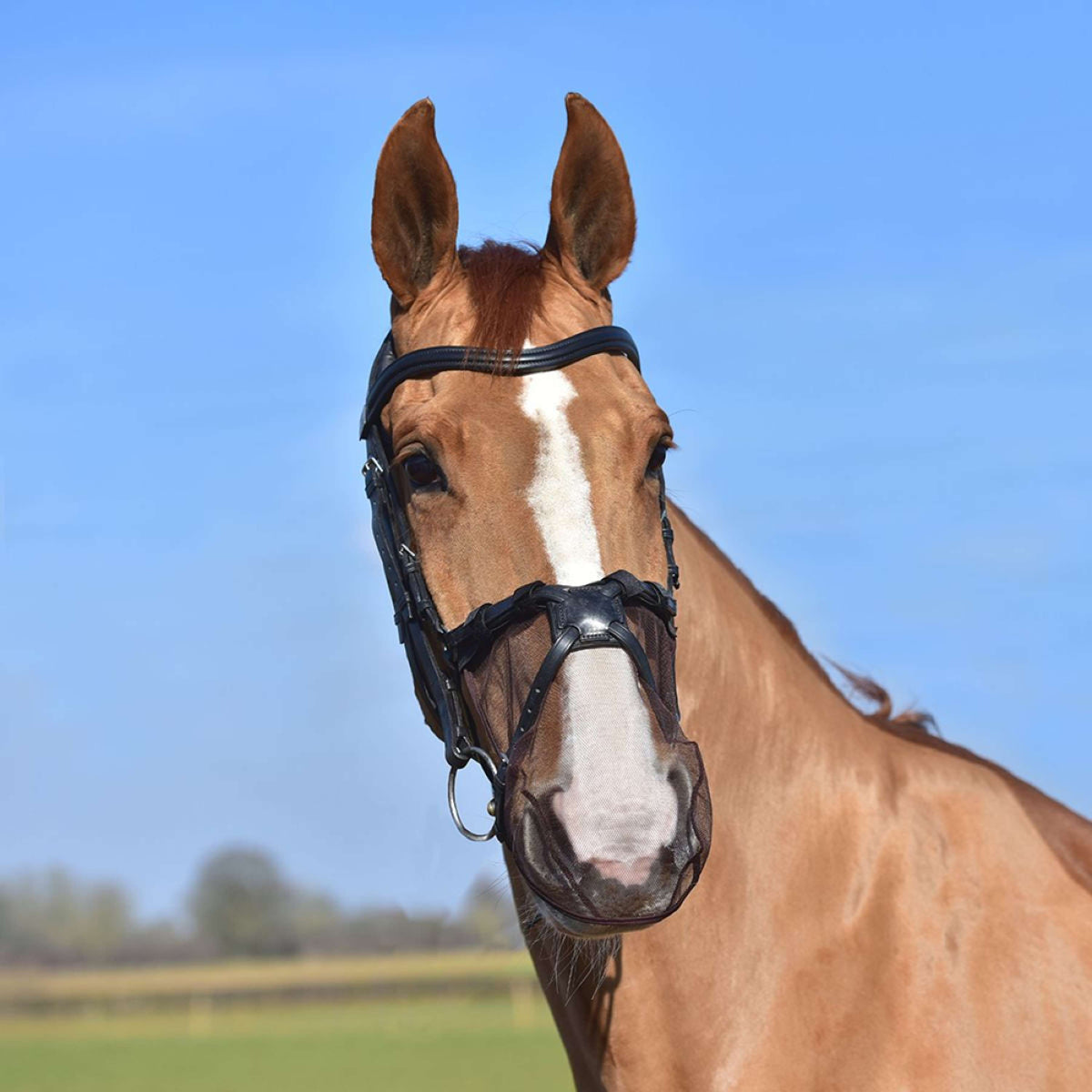 Equilibrium Nose Net Net Relief For Mexican Bridle