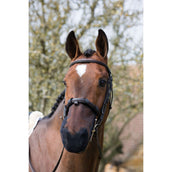 Equilibrium Nose Net Net Relief For Bridle Black