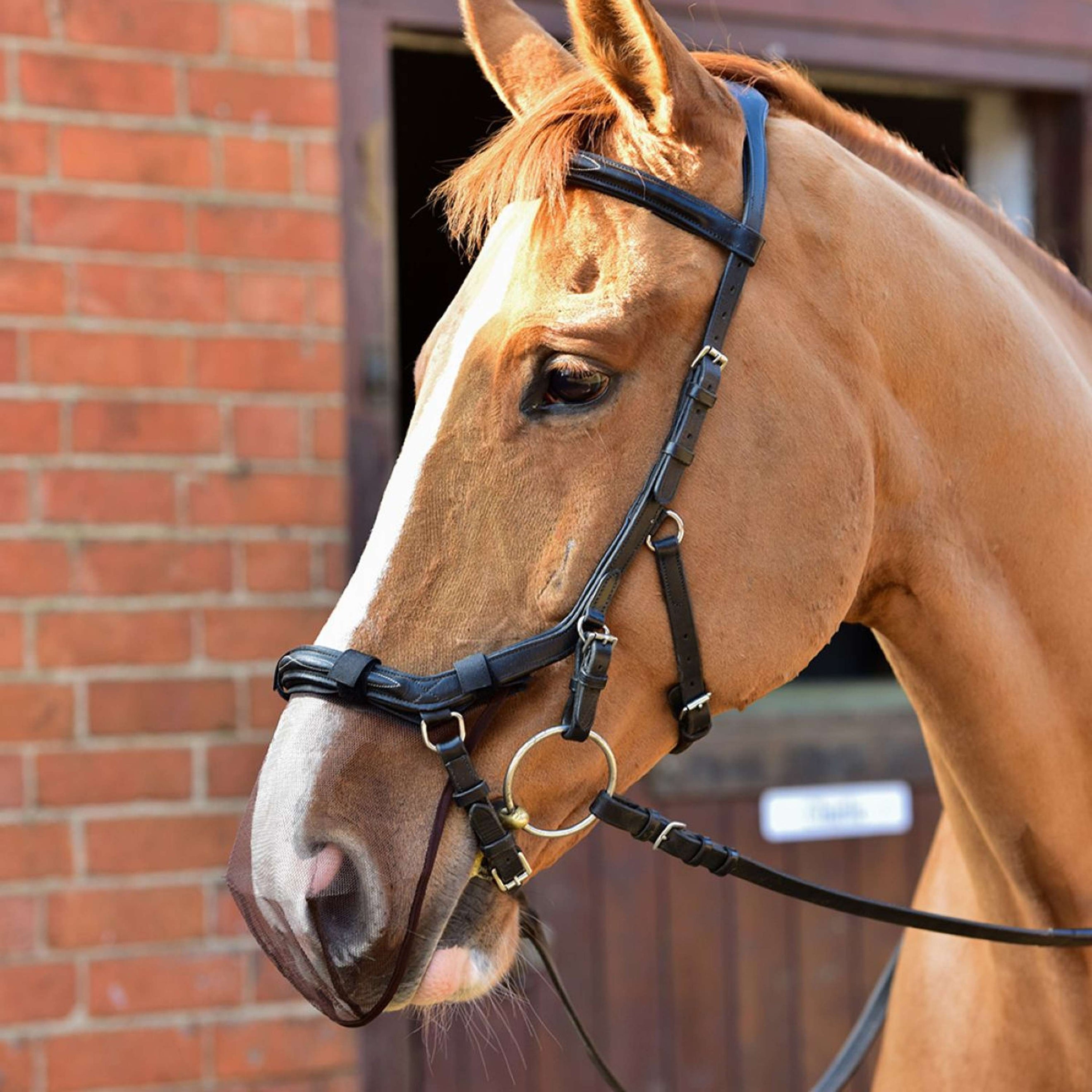 Equilibrium Nose Net Net Relief For Micklem Bridle