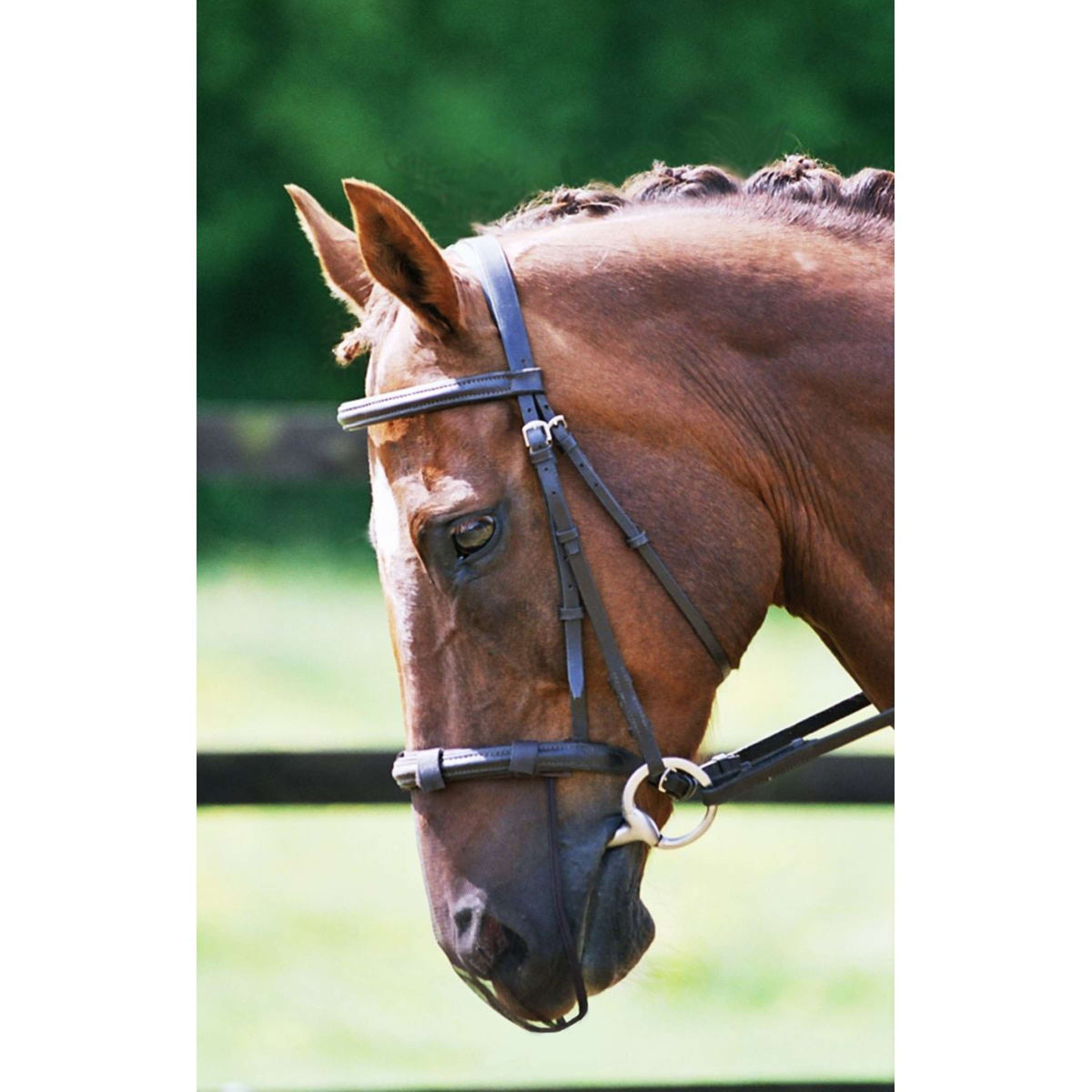 Equilibrium Nose Net Net Relief For Bridle Brown