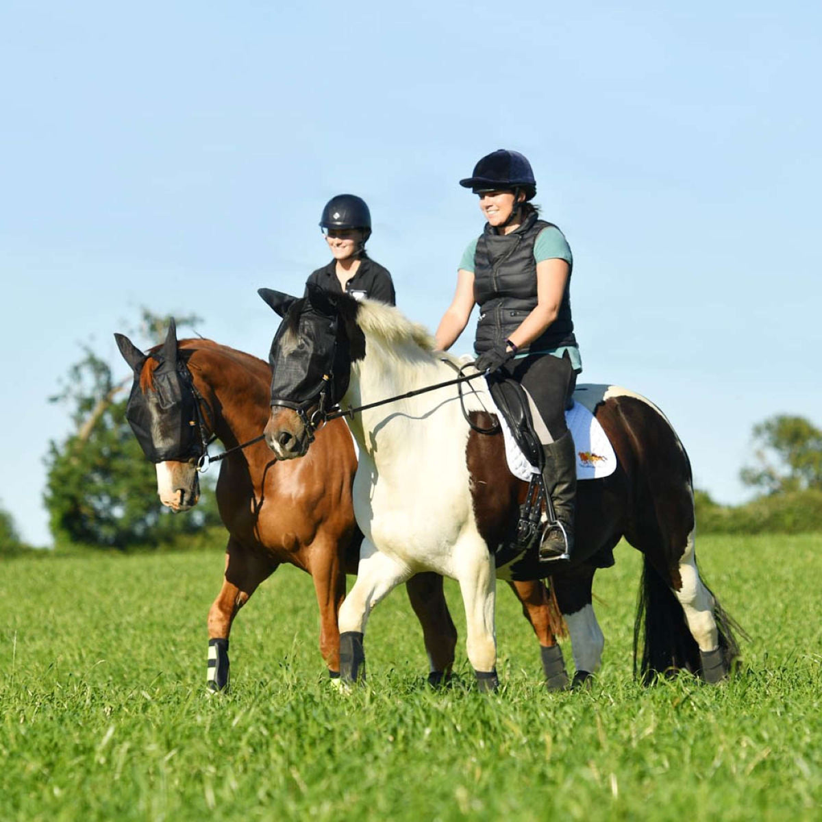 Equilibrium Fly Mask Net Relief For Bridle