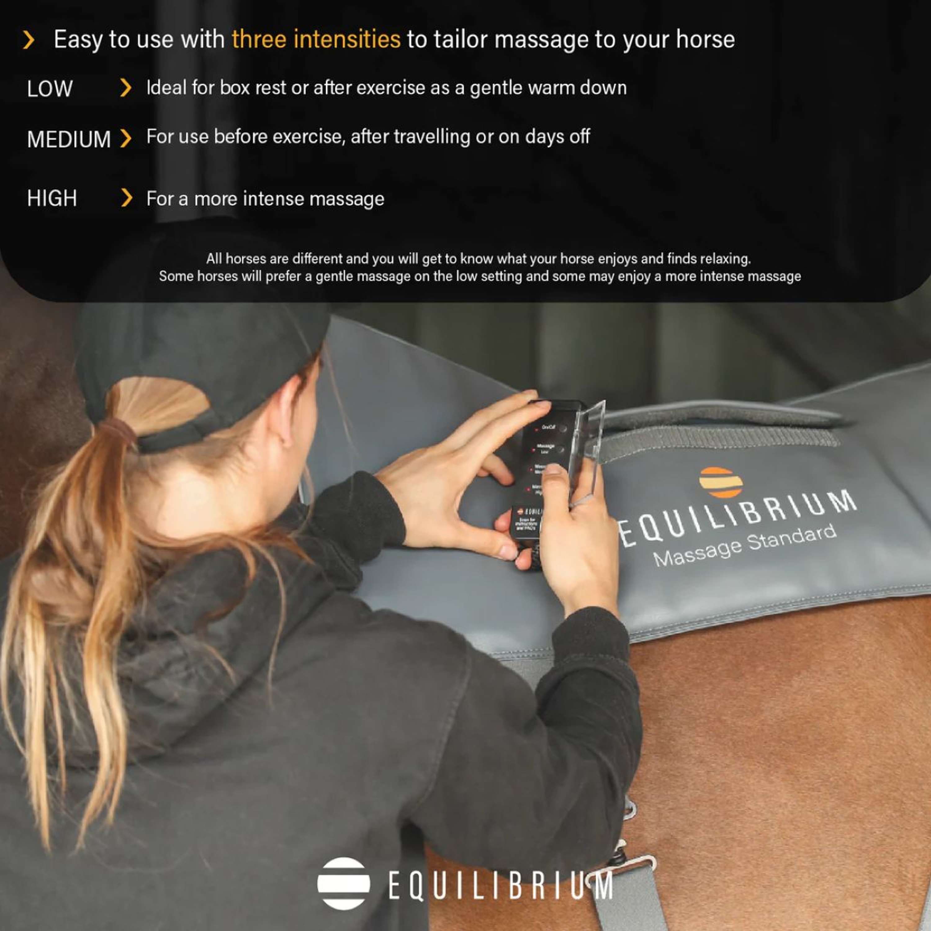 Equilibrium Massage Pad Grey