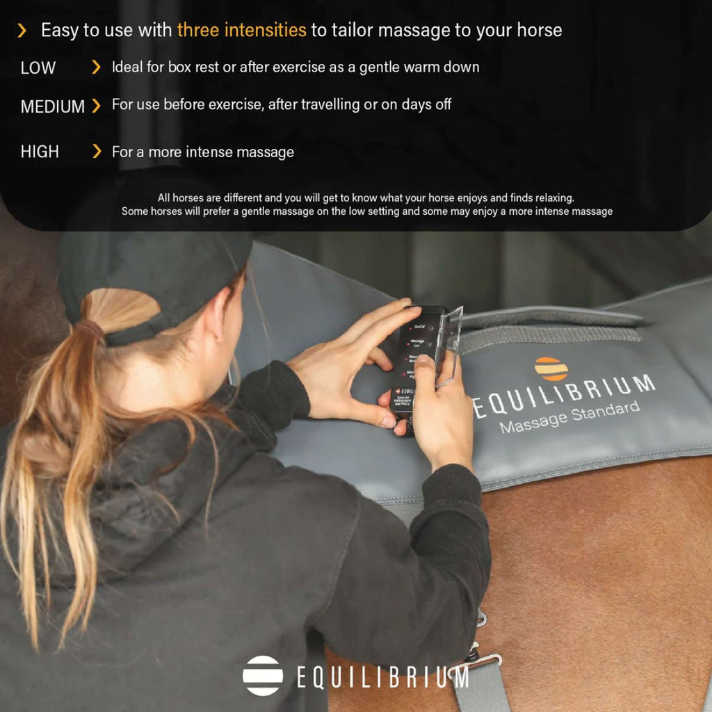 Equilibrium Massage Pad Grey