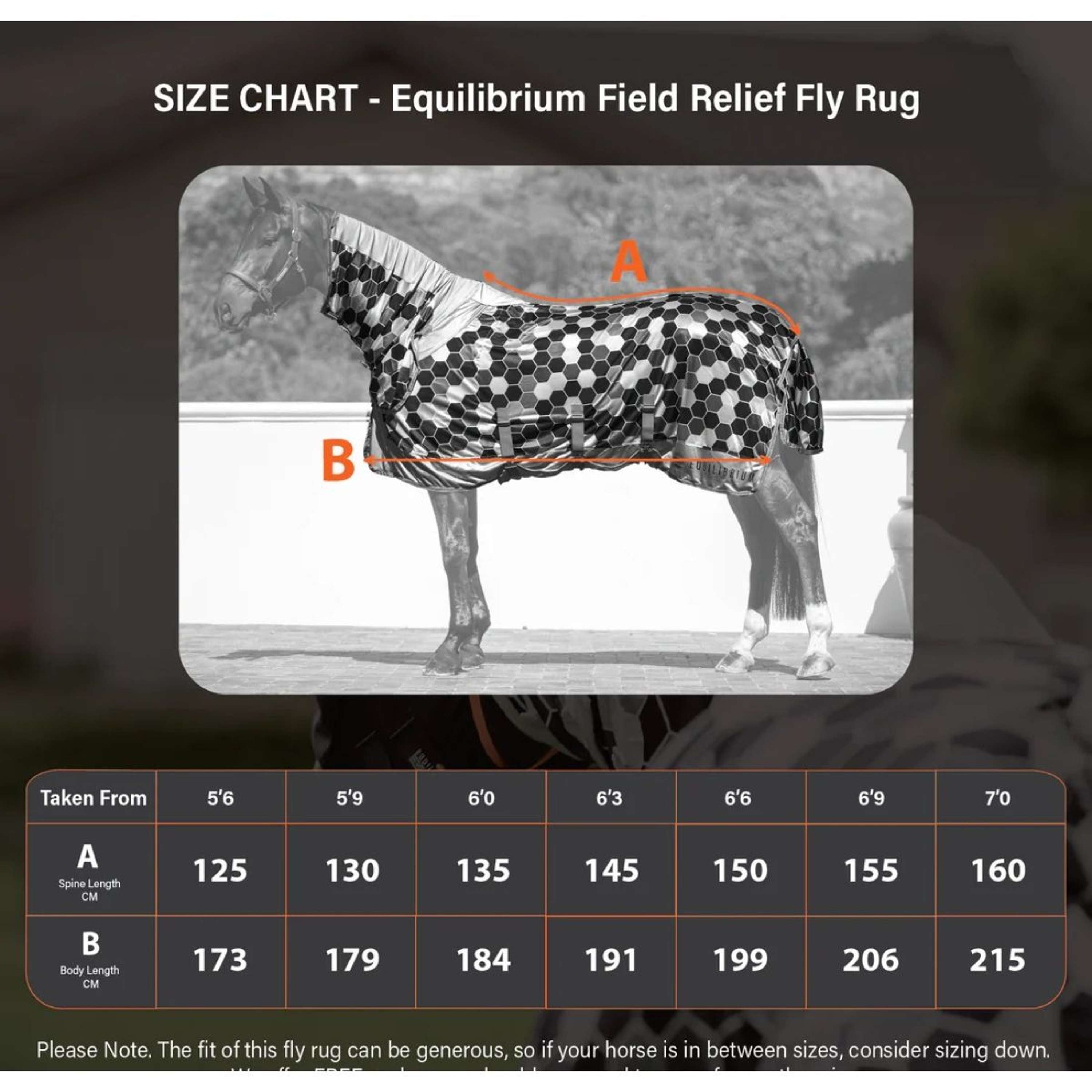 Equilibrium Fly Rug Field Relief Grey