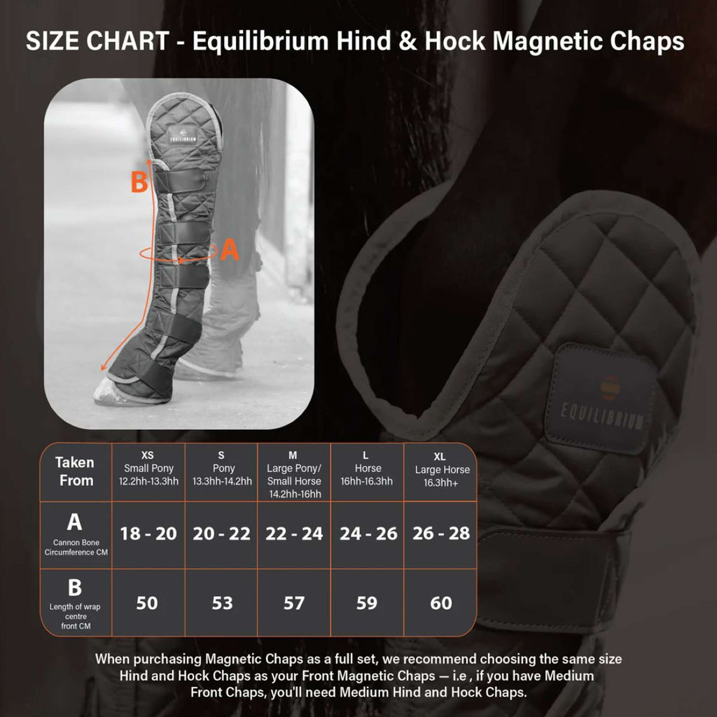 Equilibrium Leg Protectors Hind & Hock Magnetic Grey