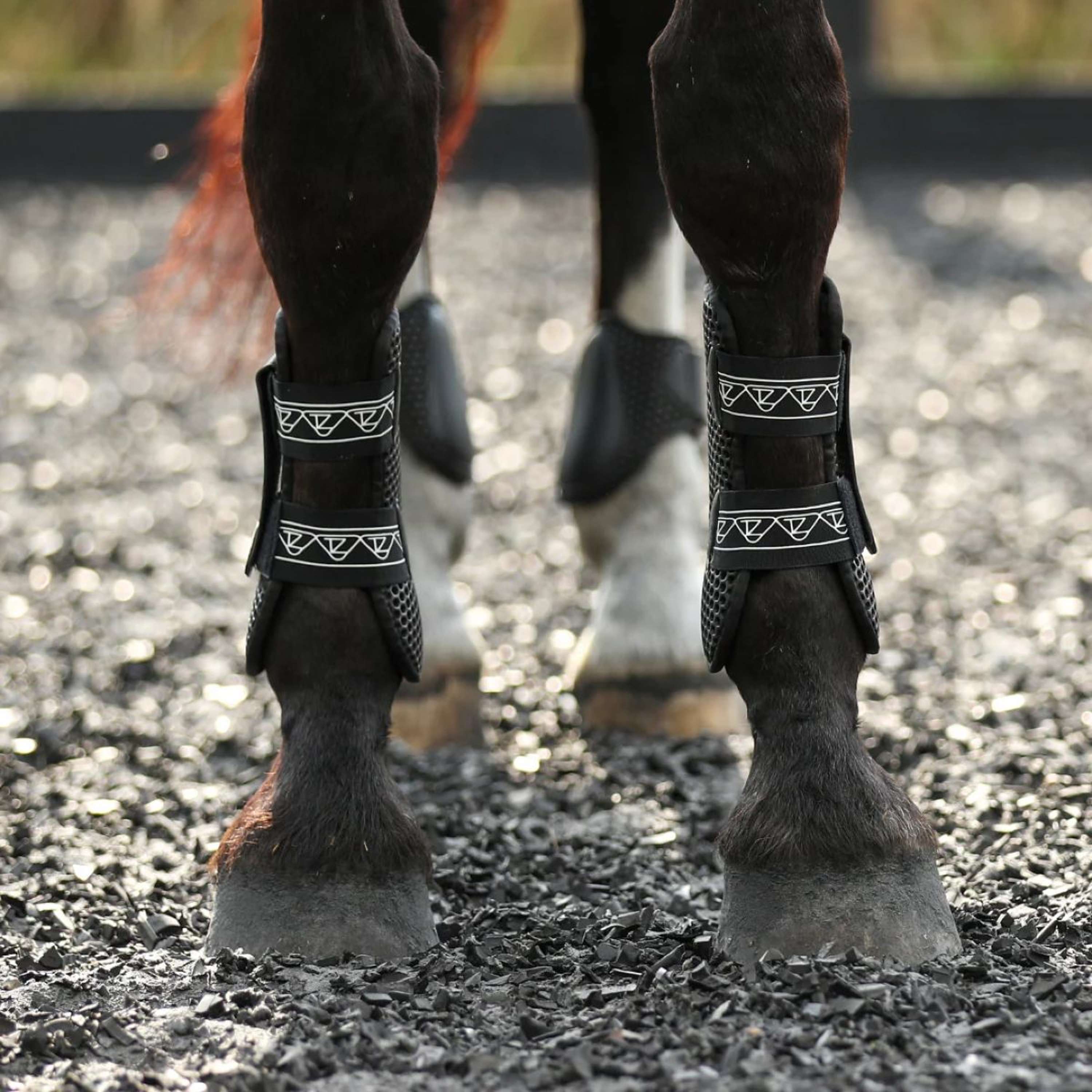 Equilibrium Tendon Boots Tri-zone Black