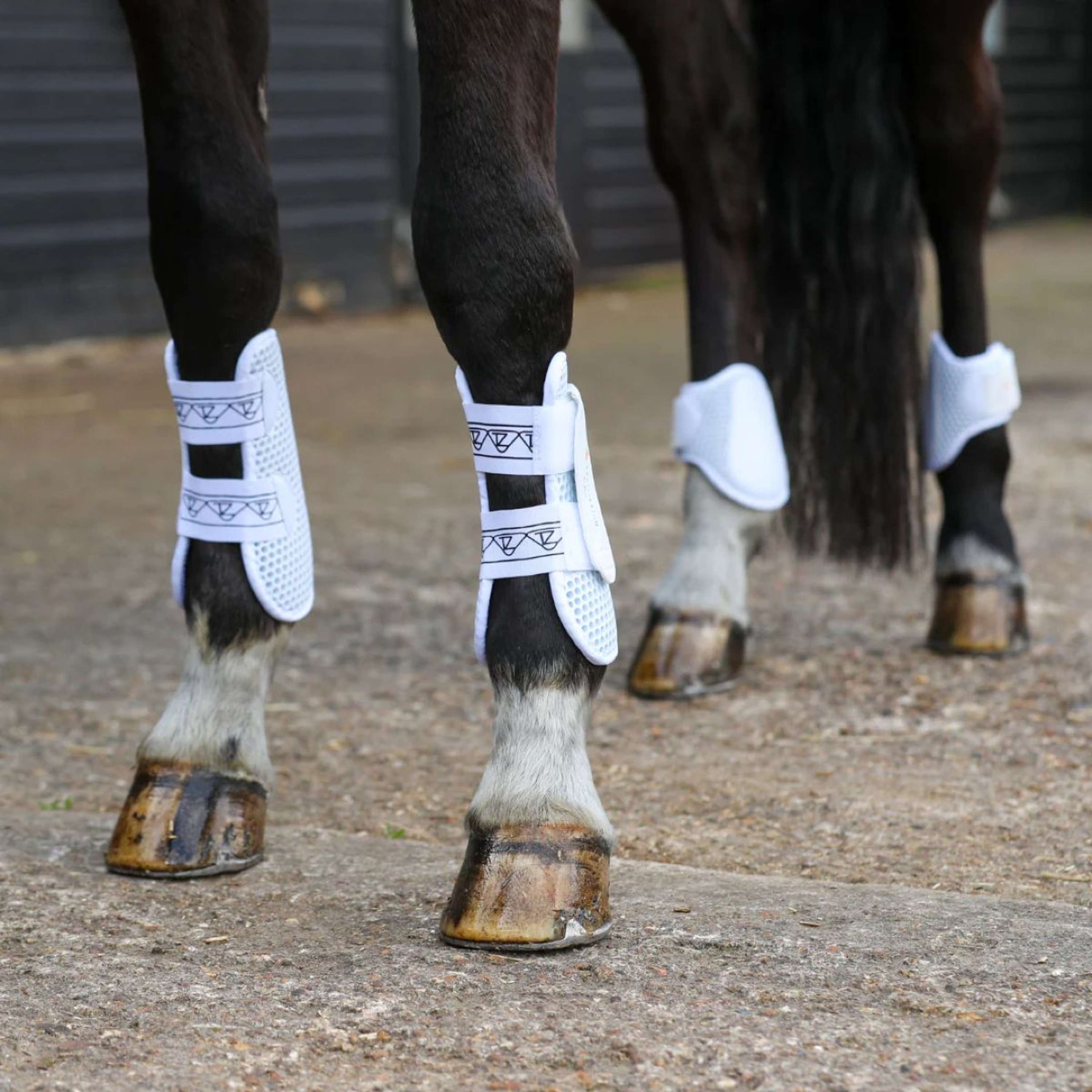 Equilibrium Tendon Boots Tri-zone White