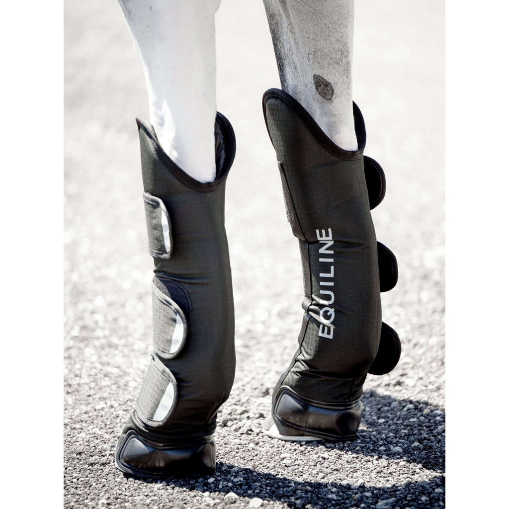 Equiline Transport Protectors Rex Black