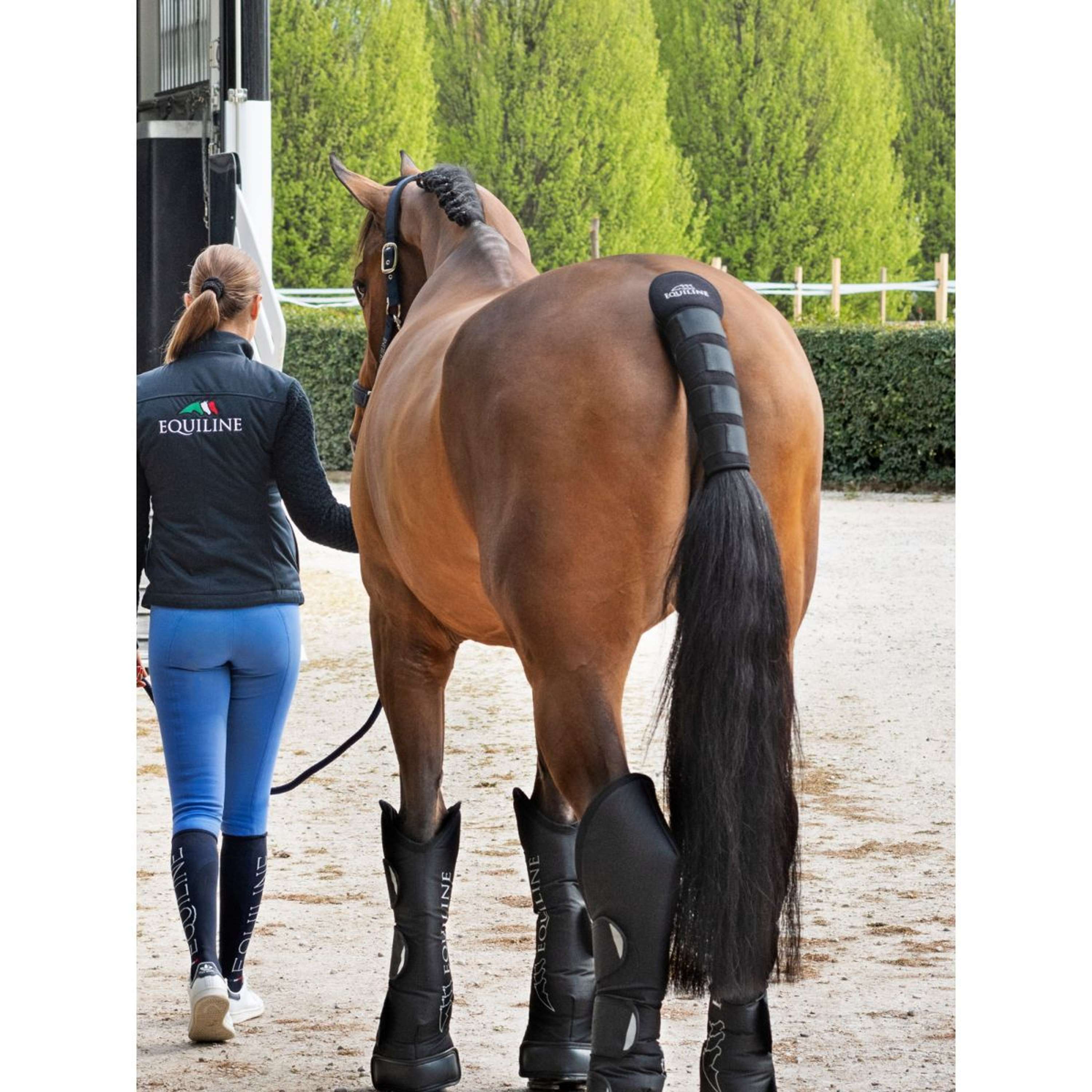 Equiline Tail Protector Noll Black