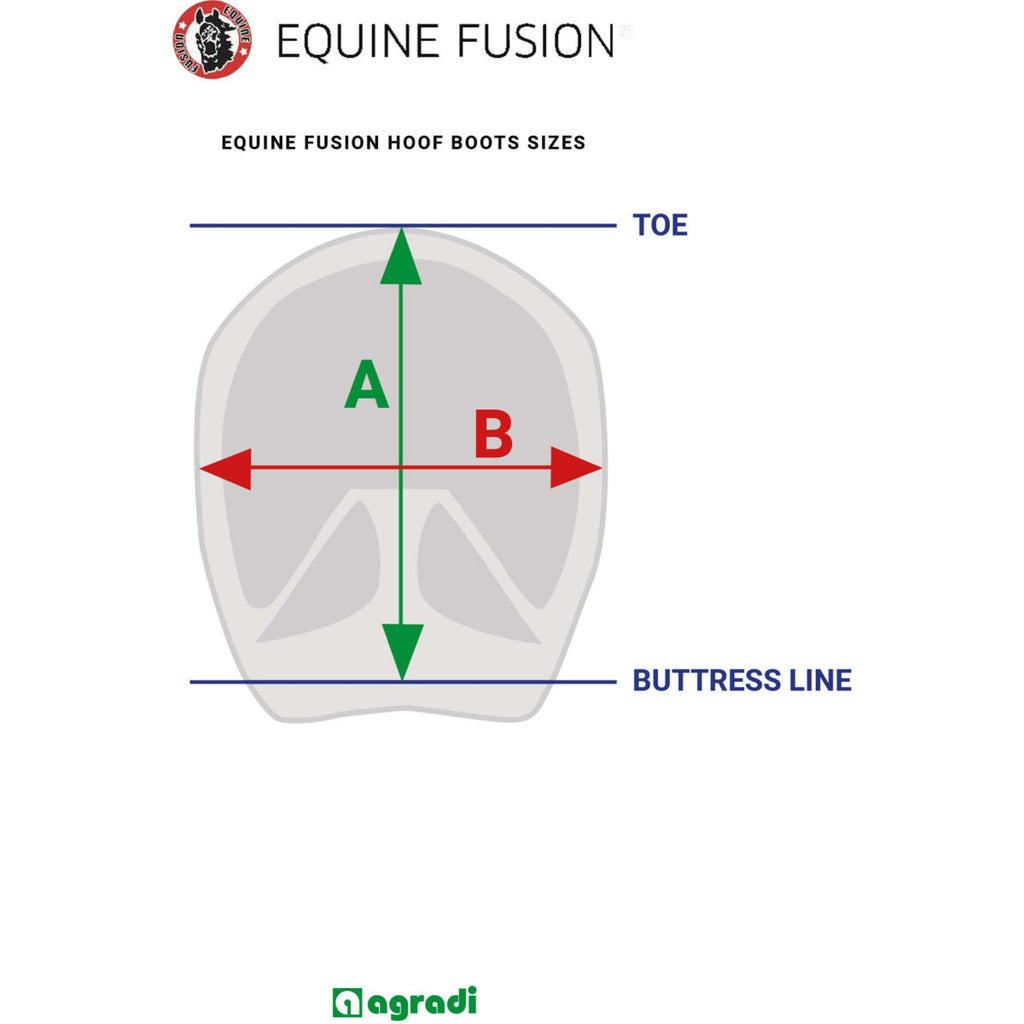 Equine Fusion Horse Boots Active