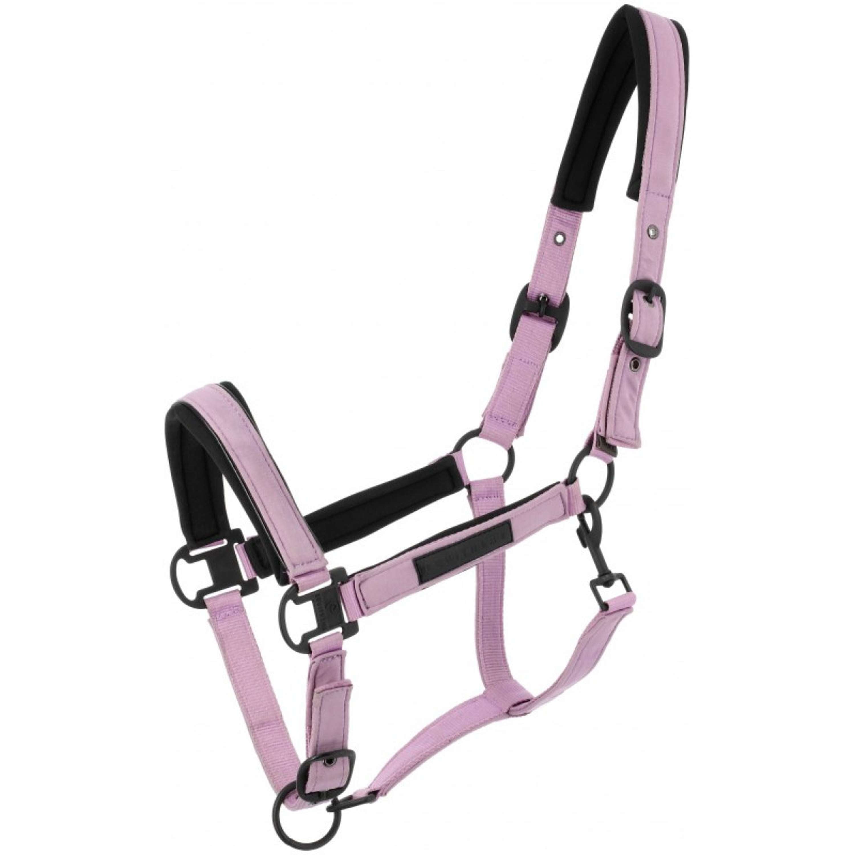 EQUITHÈME Halter Pearl Lavander