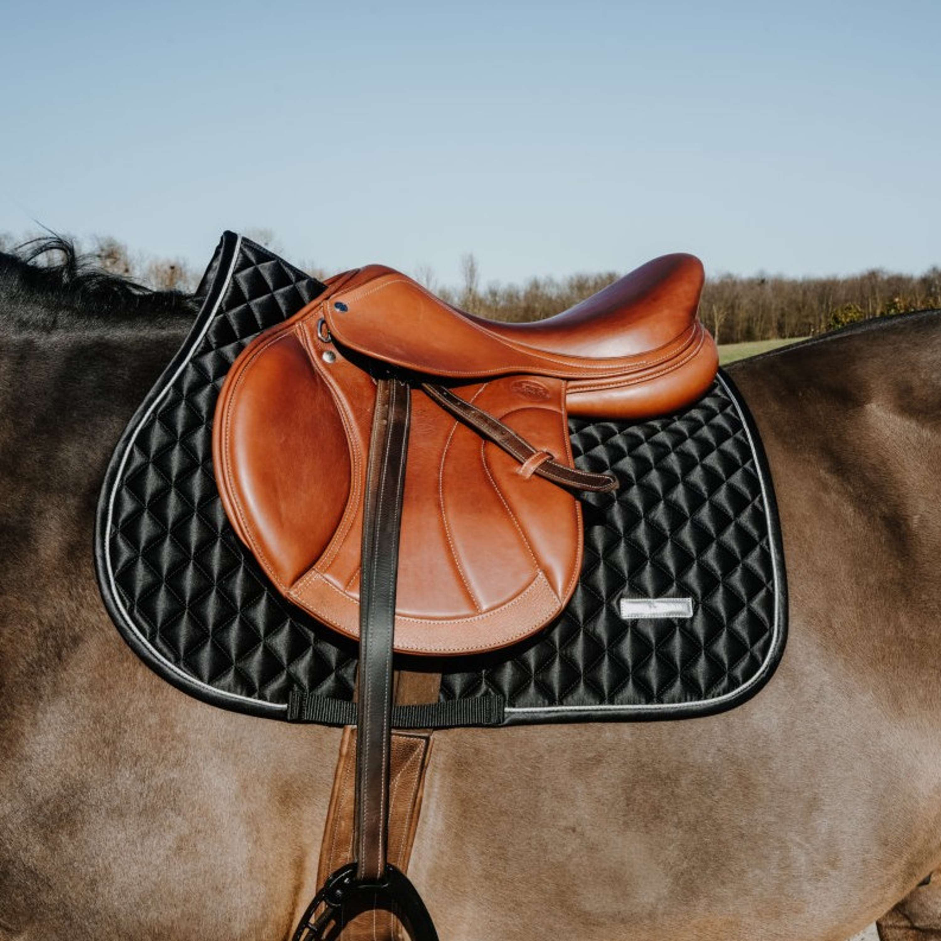 EQUITHÈME Saddlepad Nacre Jumping Black