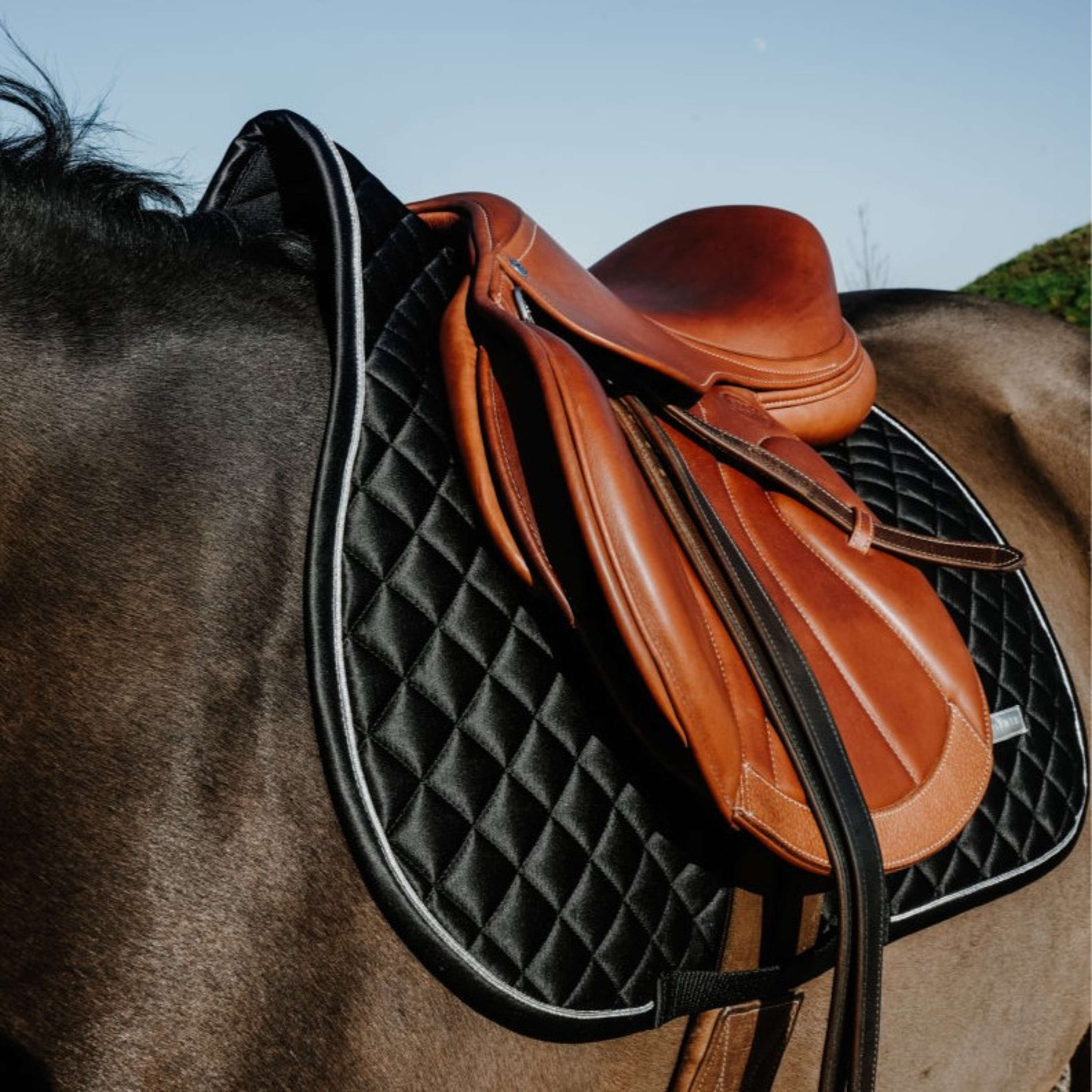 EQUITHÈME Saddlepad Nacre Jumping Black