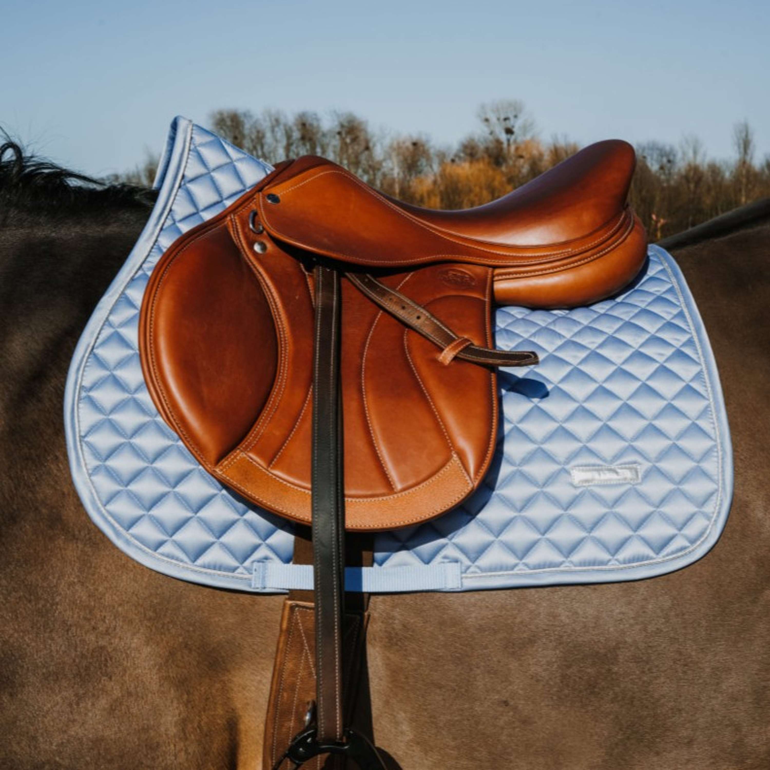 EQUITHÈME Saddlepad Nacre Jumping Blue