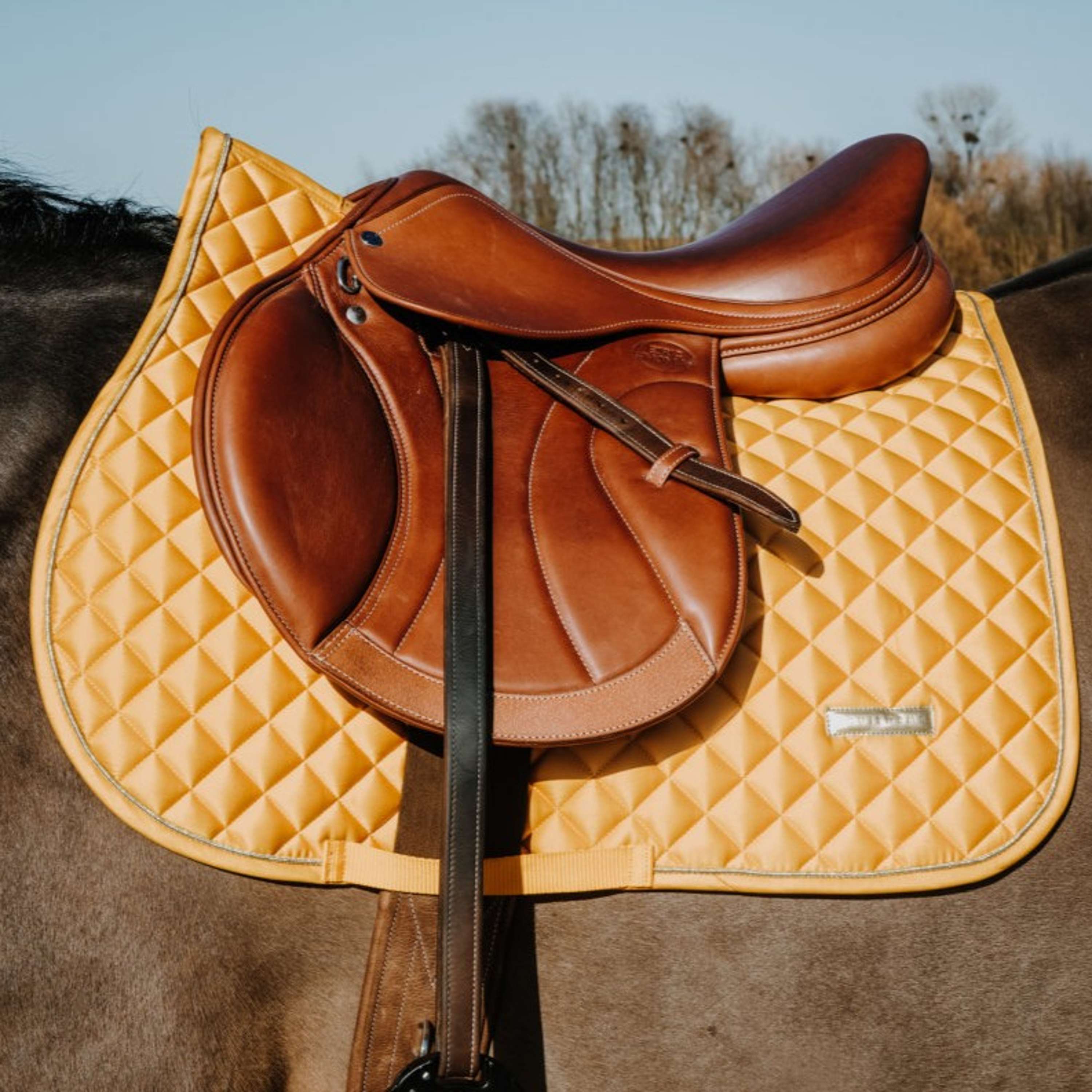 EQUITHÈME Saddlepad Nacre Jumping Yellow