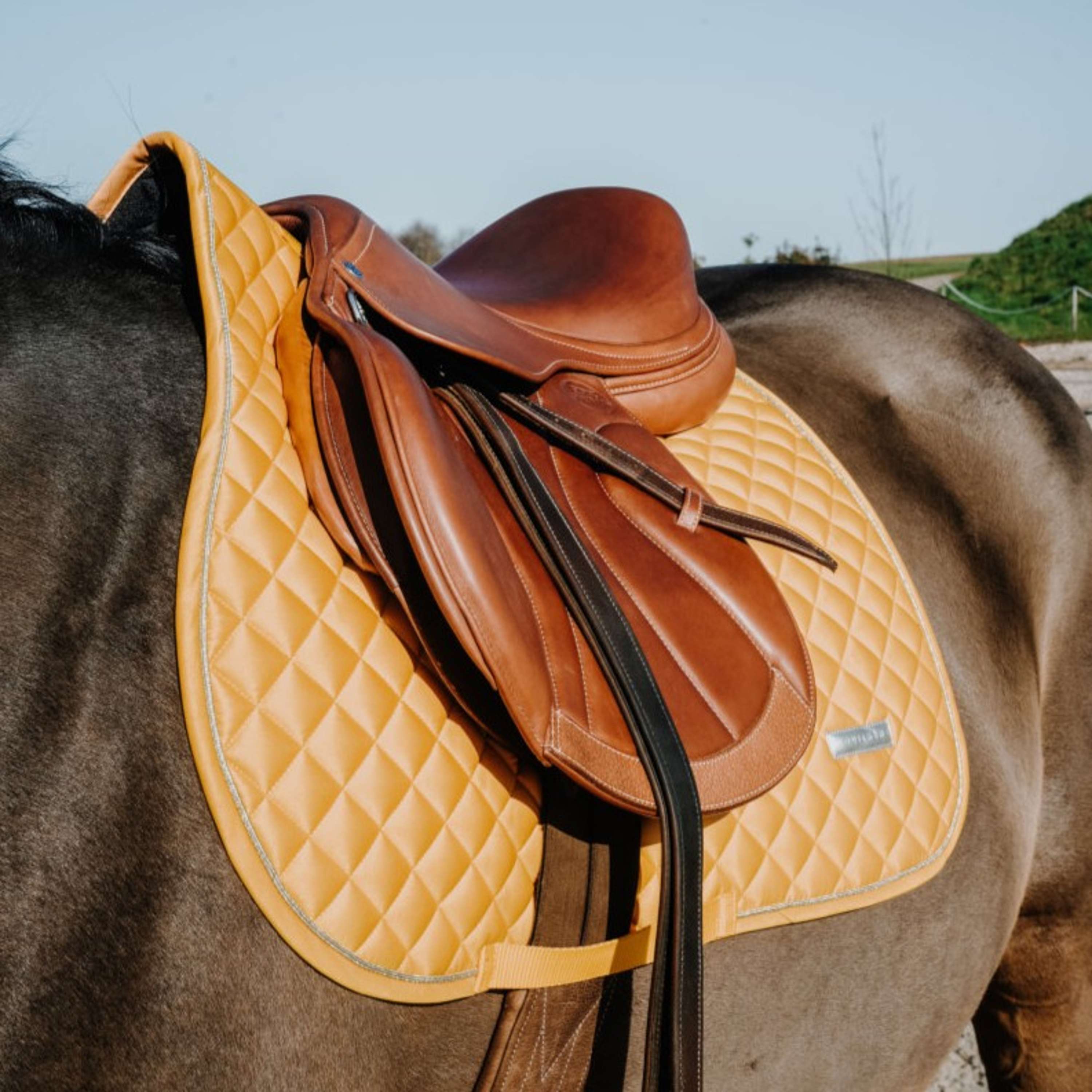 EQUITHÈME Saddlepad Nacre Jumping Yellow