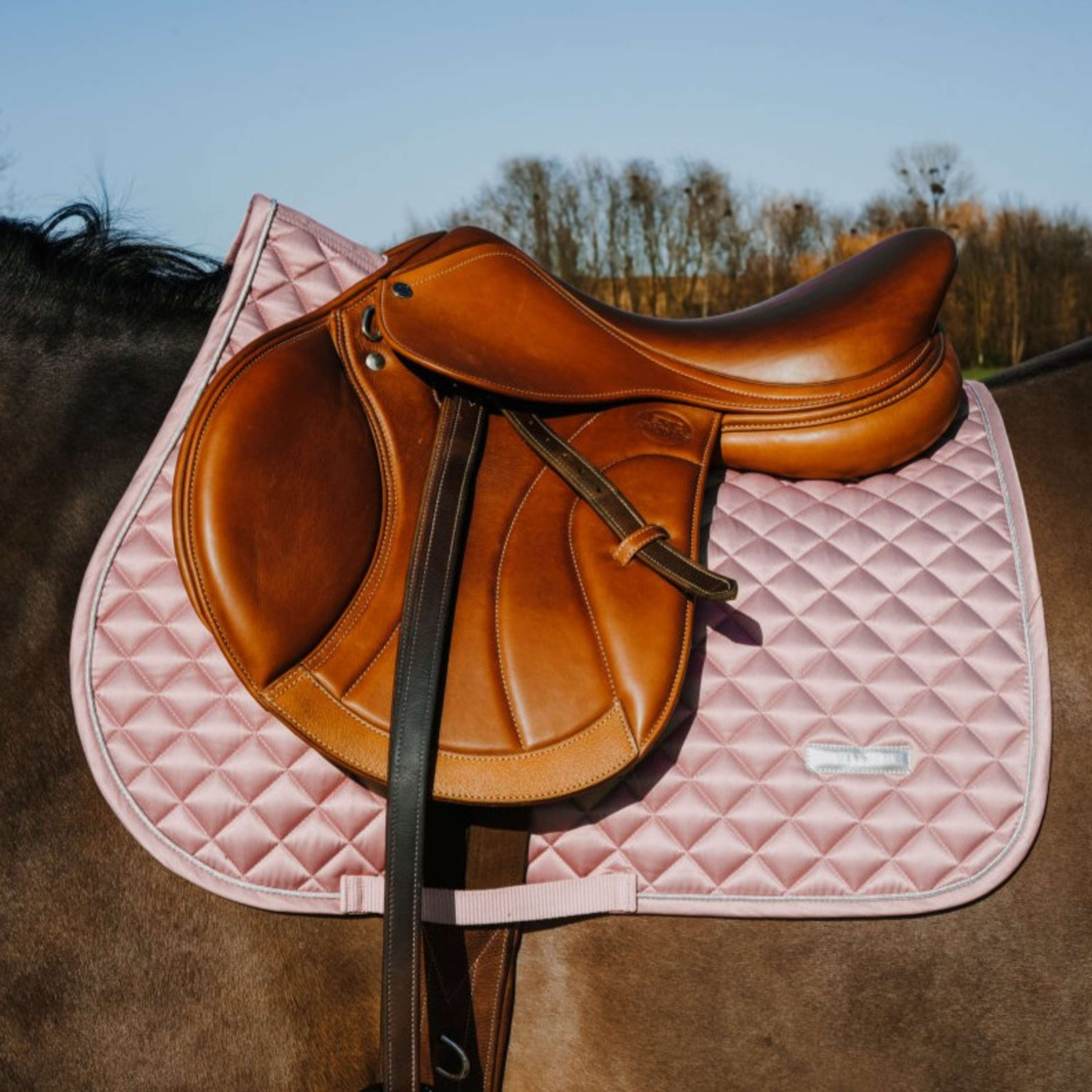EQUITHÈME Saddlepad Nacre Jumping Pink