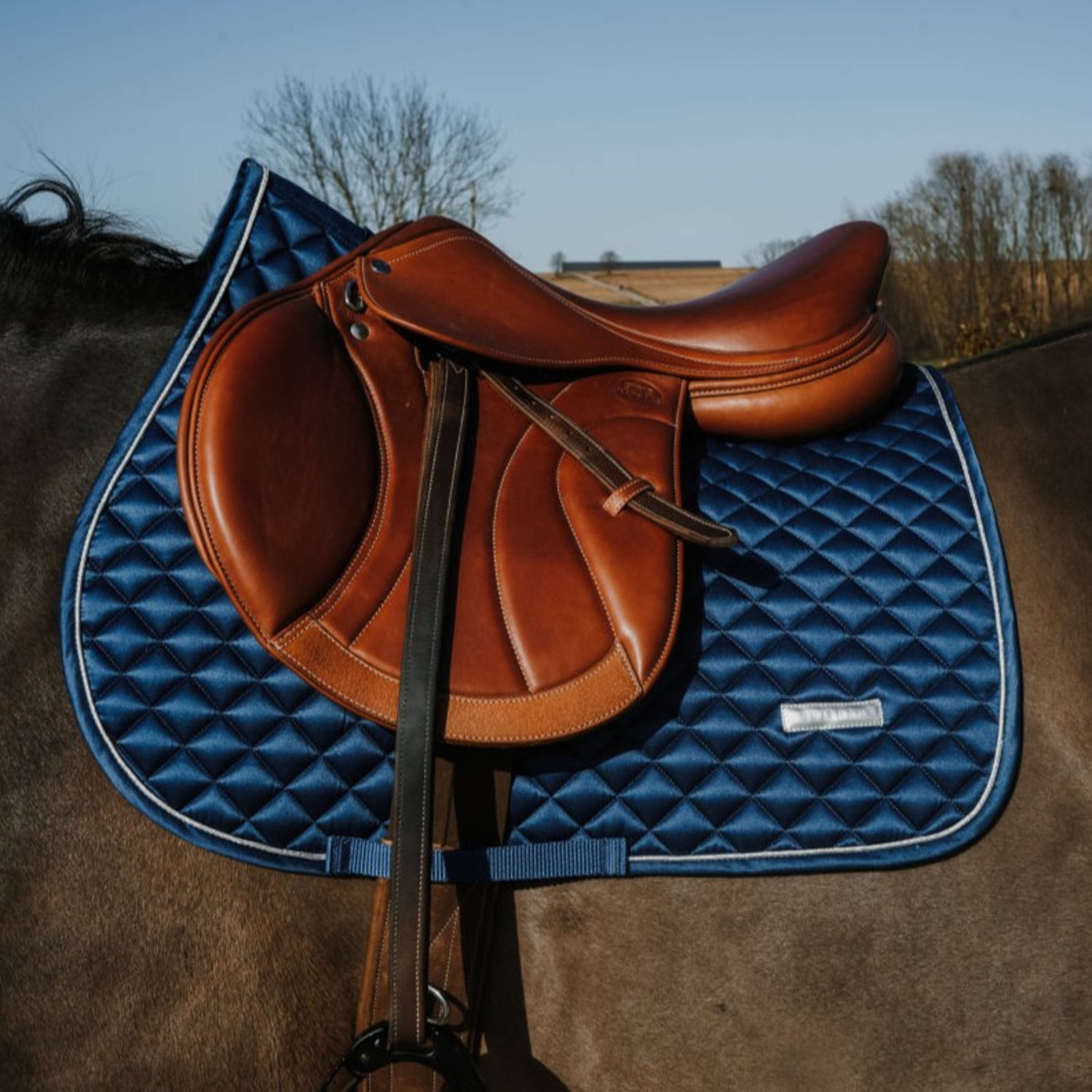 EQUITHÈME Saddlepad Nacre Jumping Steel Blue