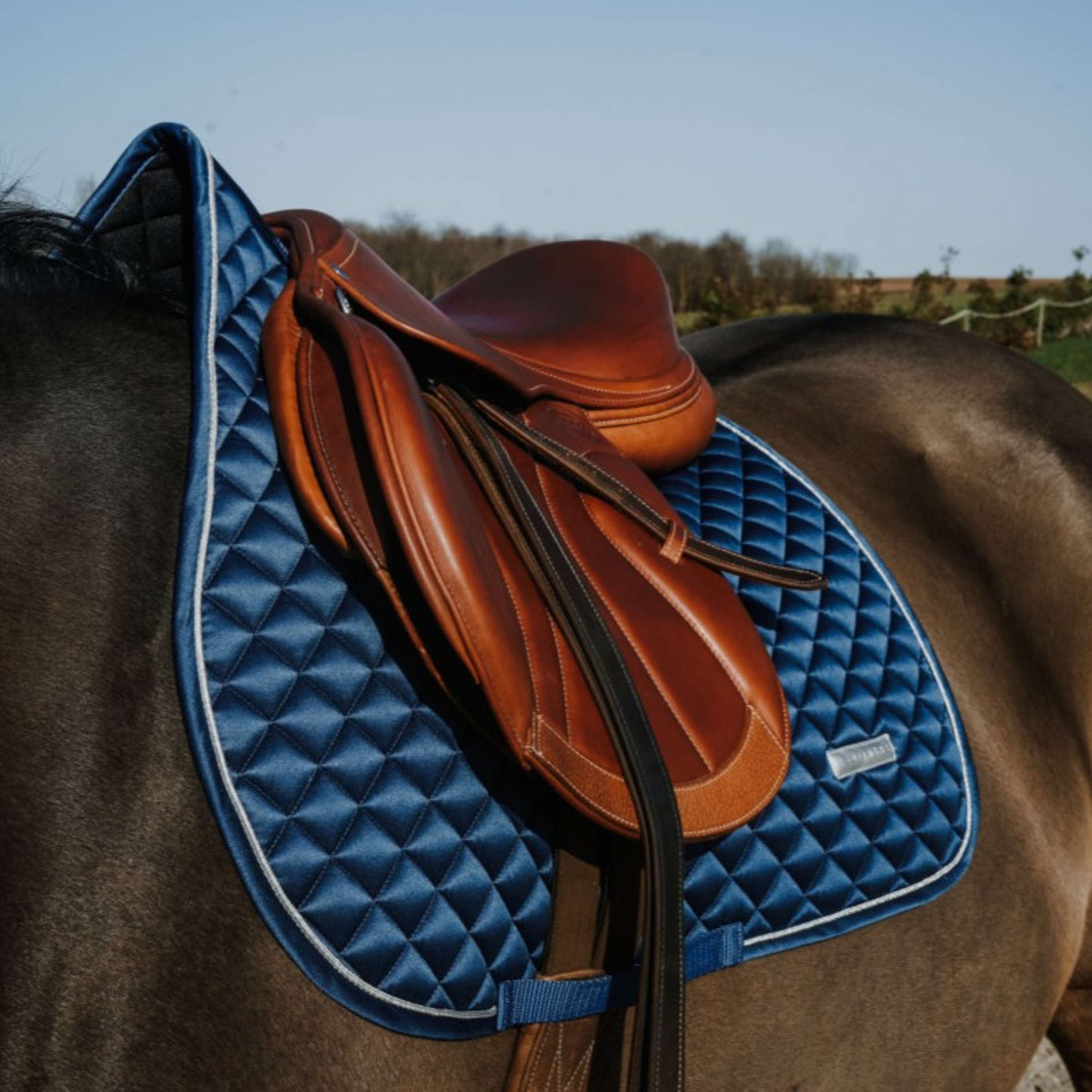 EQUITHÈME Saddlepad Nacre Jumping Steel Blue