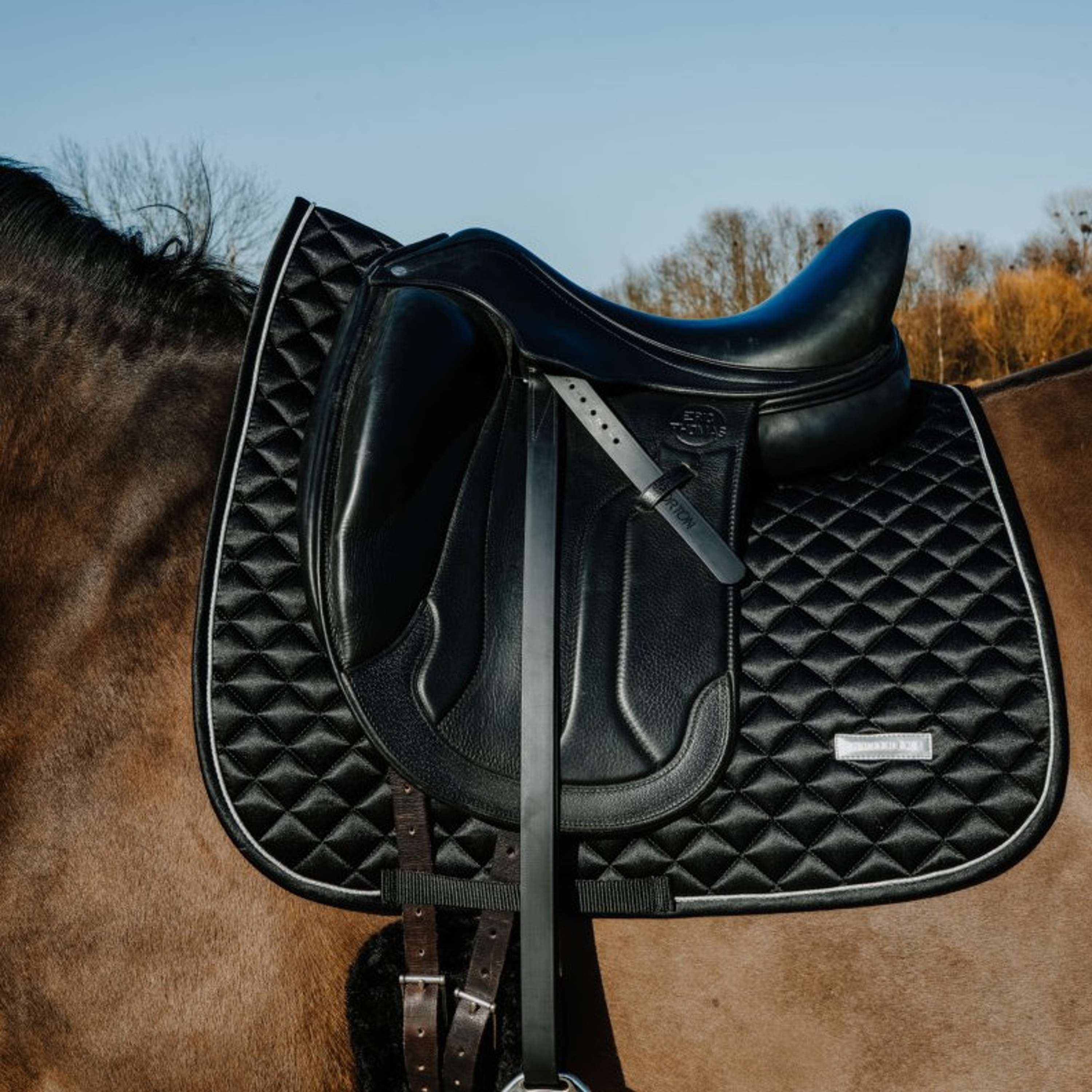 EQUITHÈME Saddlepad Nacre Dressage Black