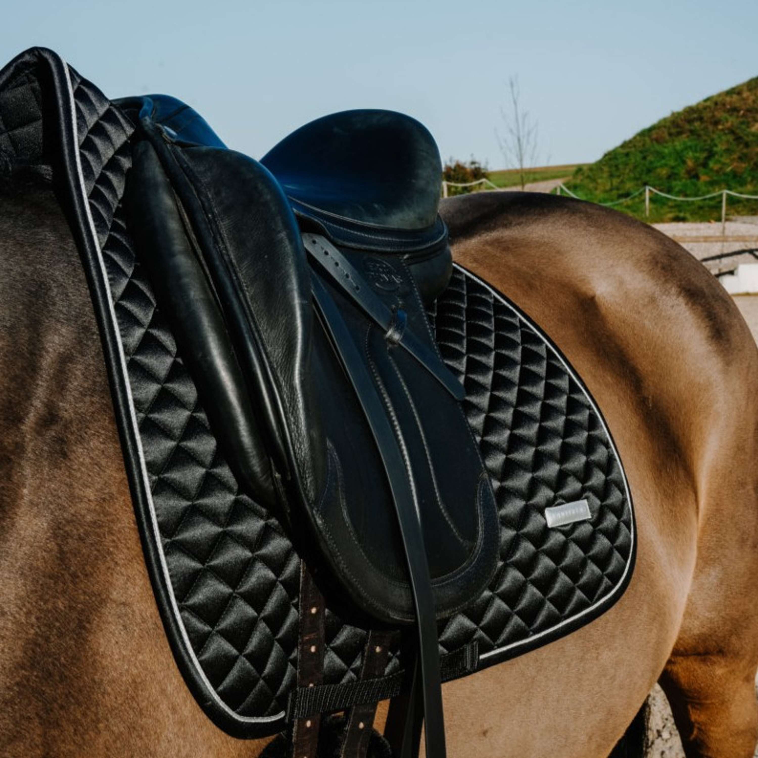 EQUITHÈME Saddlepad Nacre Dressage Black