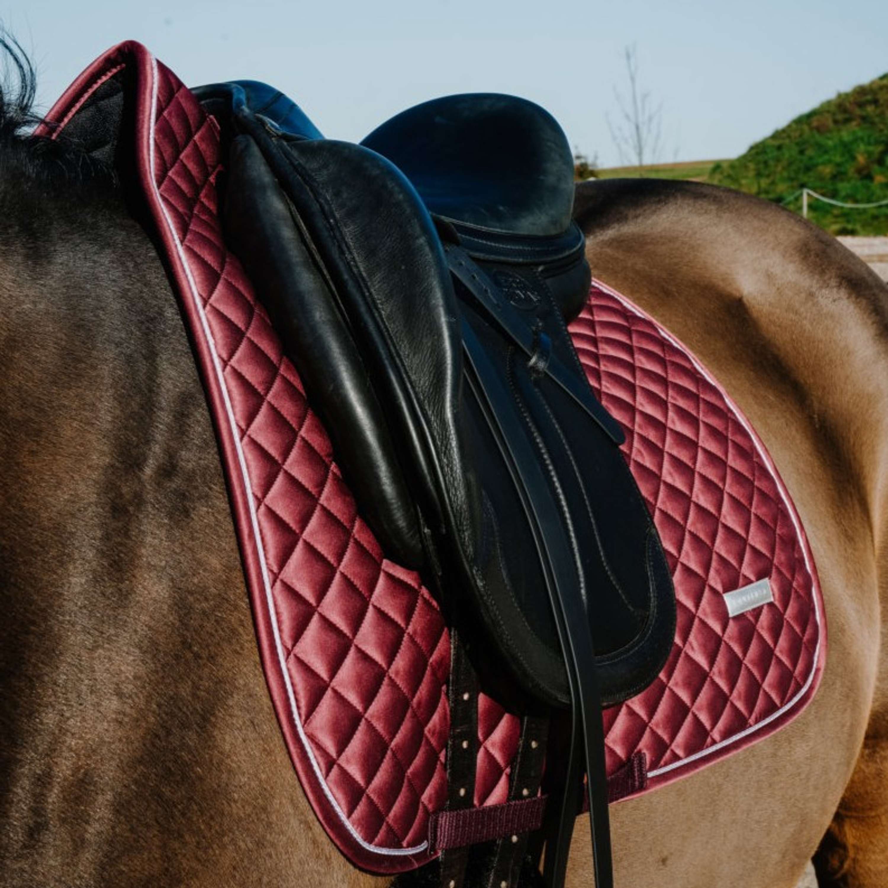 EQUITHÈME Saddlepad Nacre Dressage Bordeaux