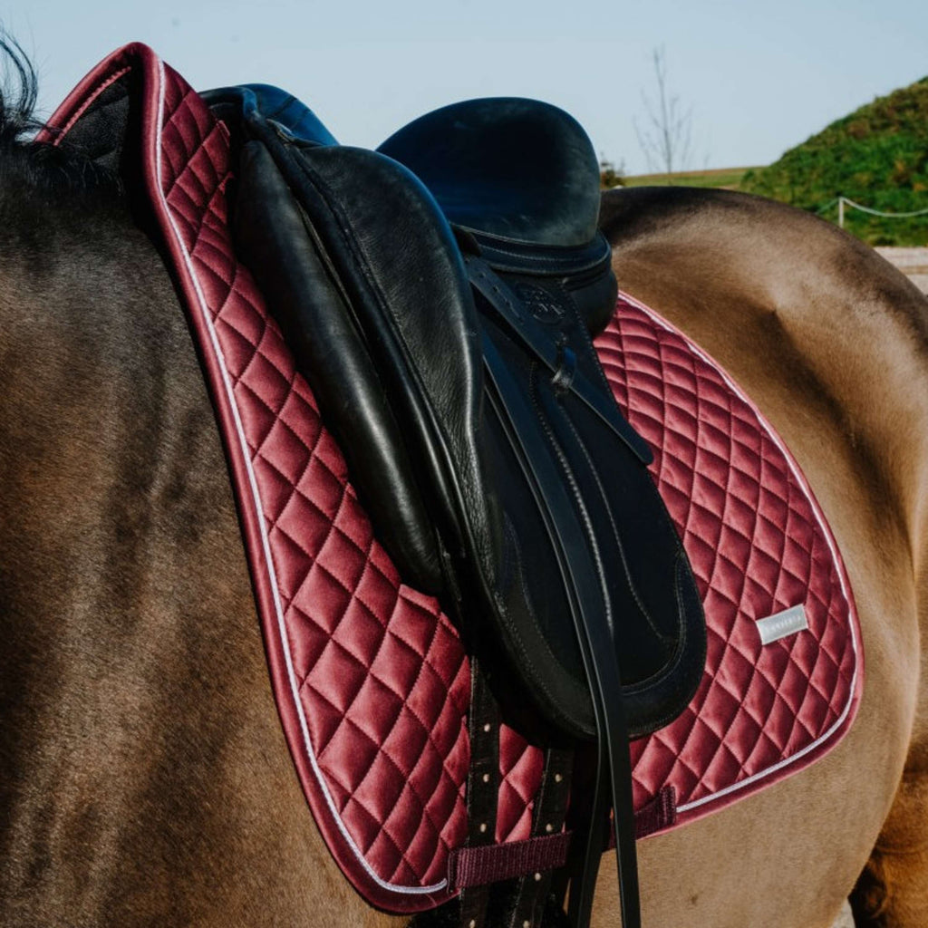 EQUITHÈME Saddlepad Nacre Dressage Bordeaux
